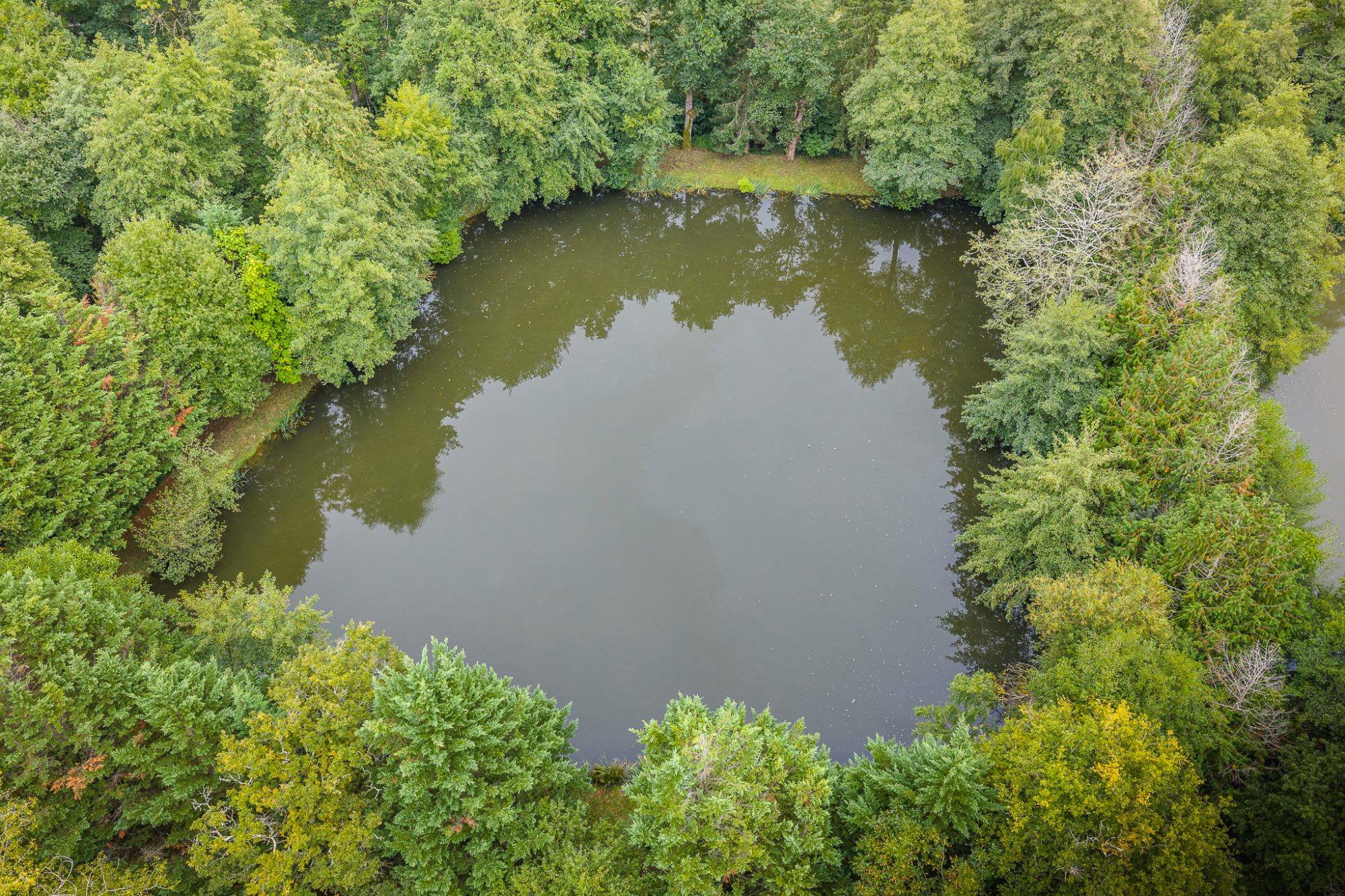 Photo 8 - ETANG