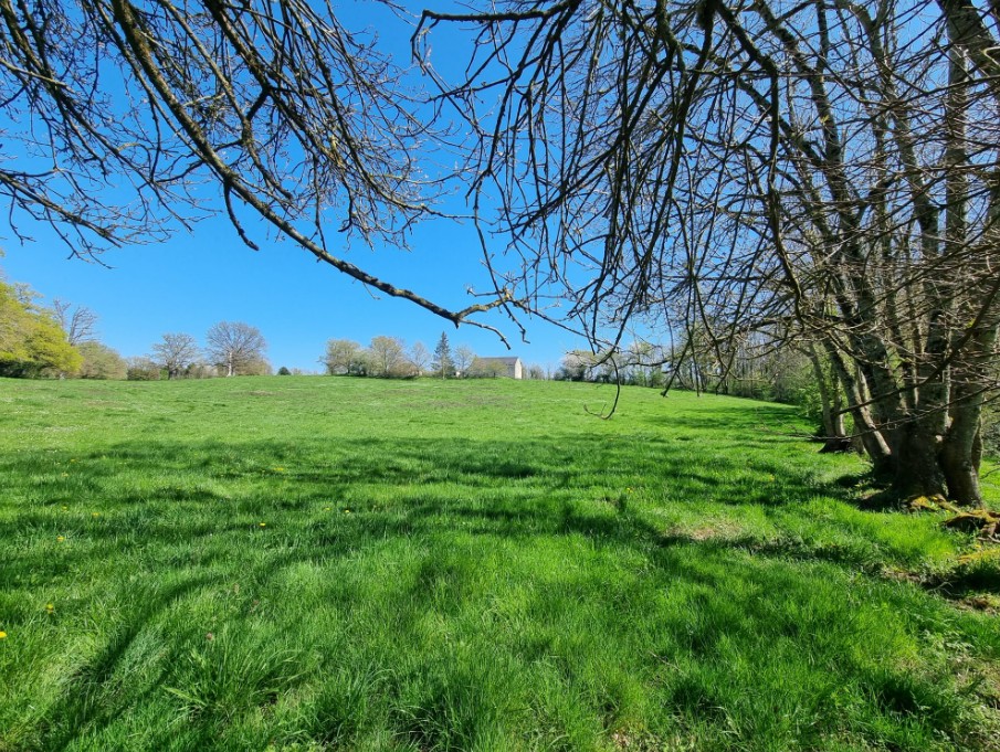 Photo 5 - Propriété isolée sur 3ha !