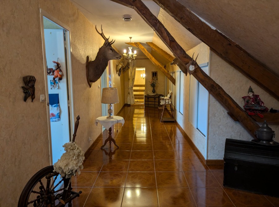 Photo 13 - Propriété isolée sur 3ha !