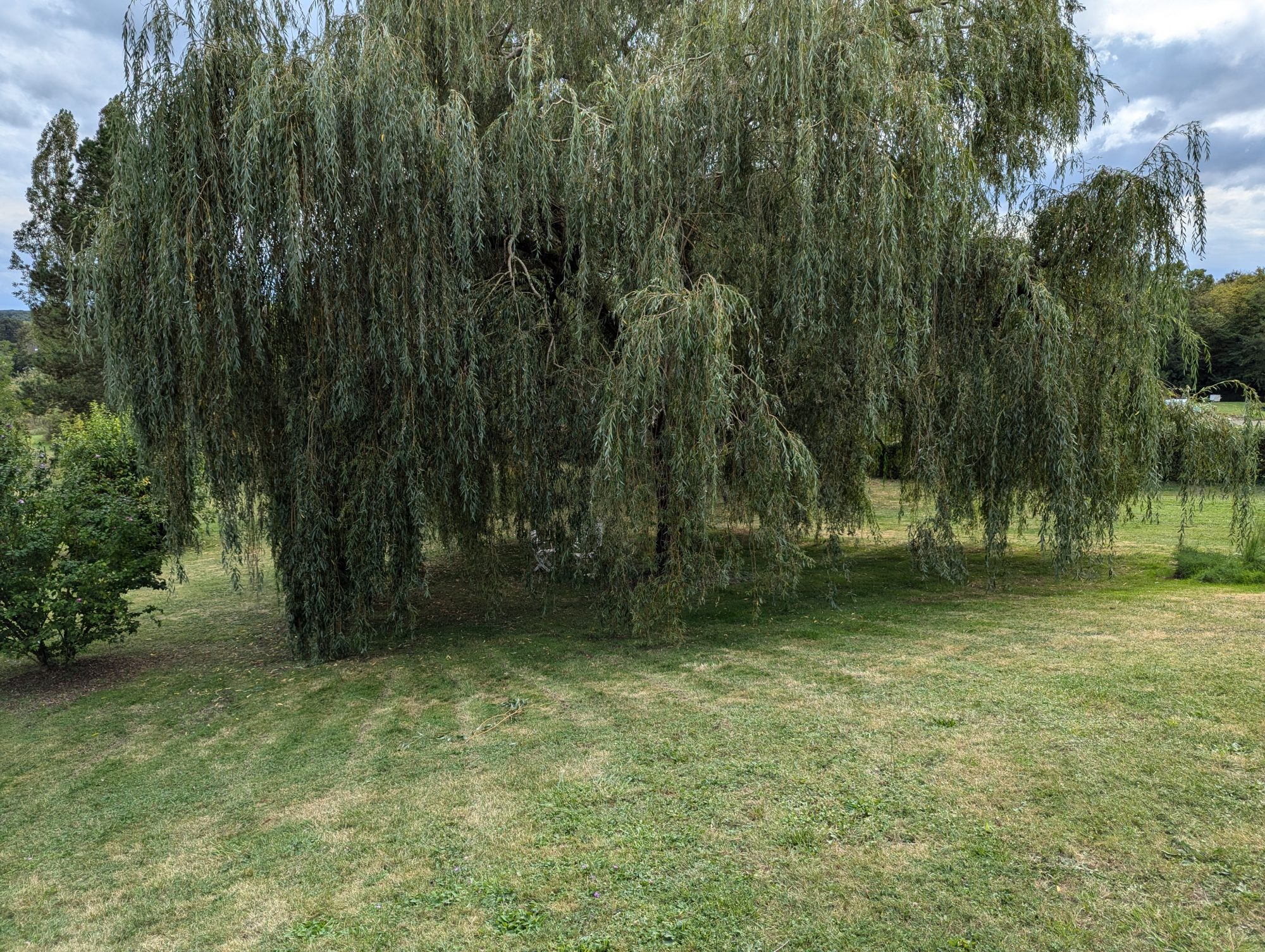 Photo 19 - Maison de campagne sur parc arboré !