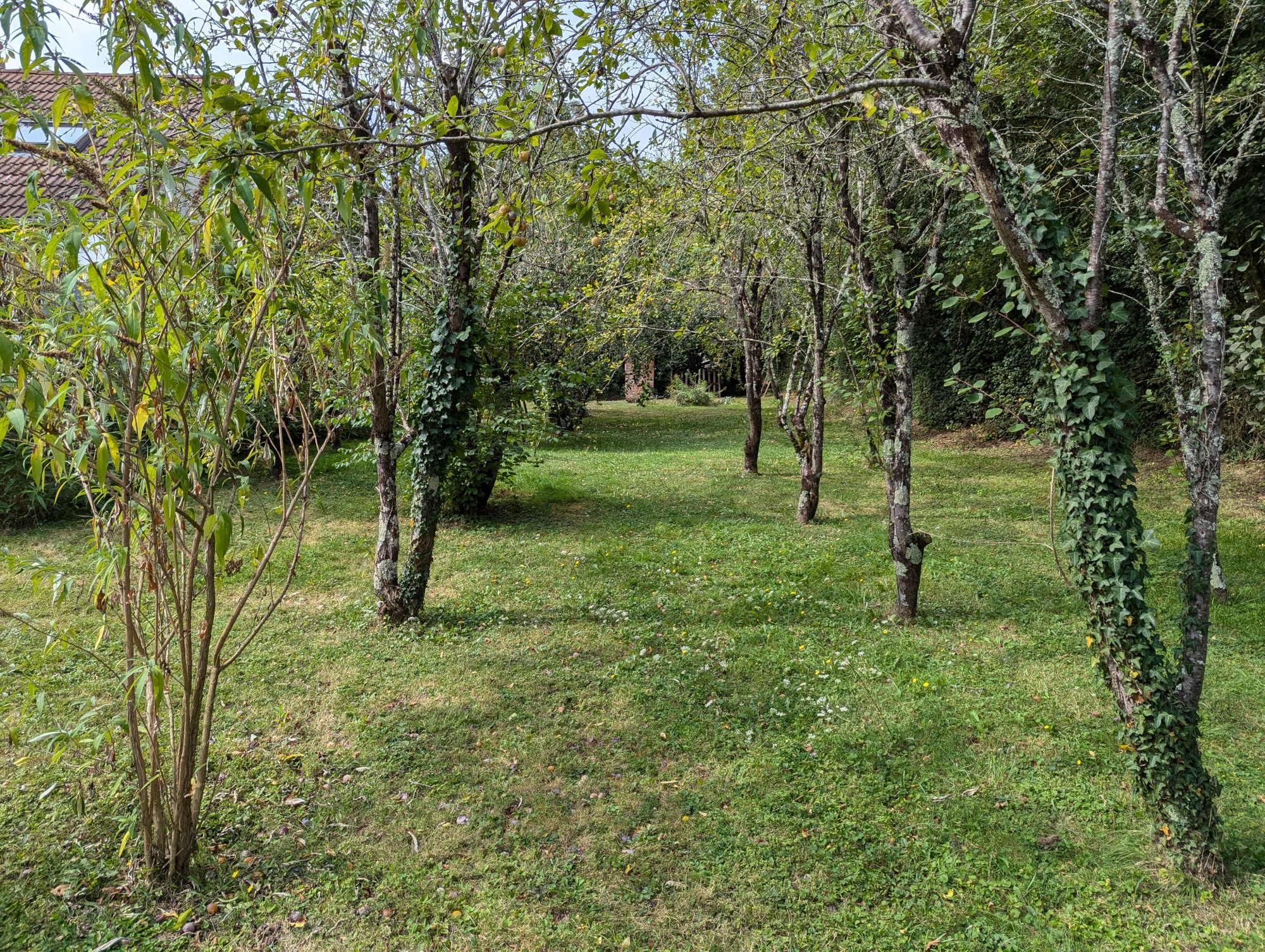 Photo 3 - Maison de campagne sur parc arboré !