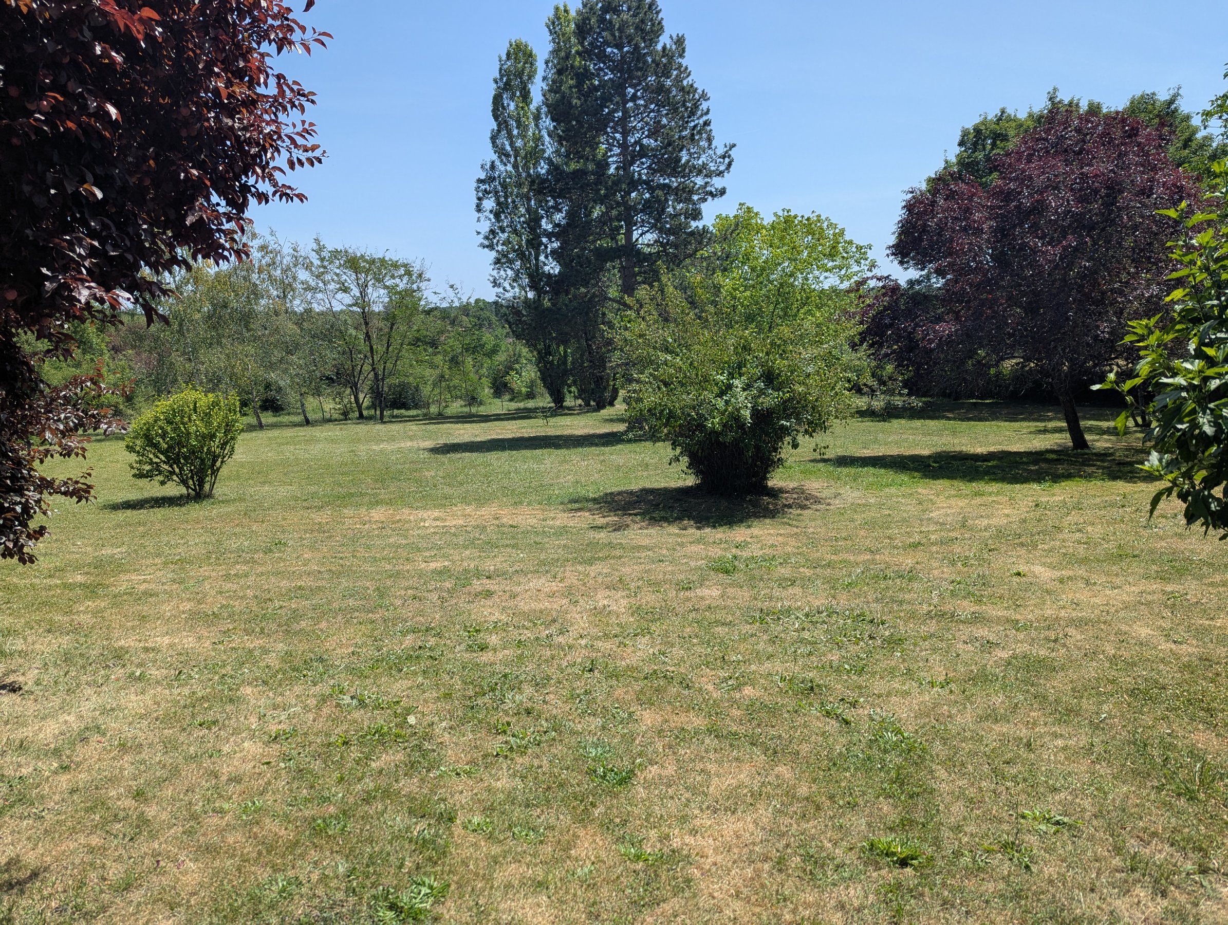 Photo 3 - Maison de campagne sur parc arboré !