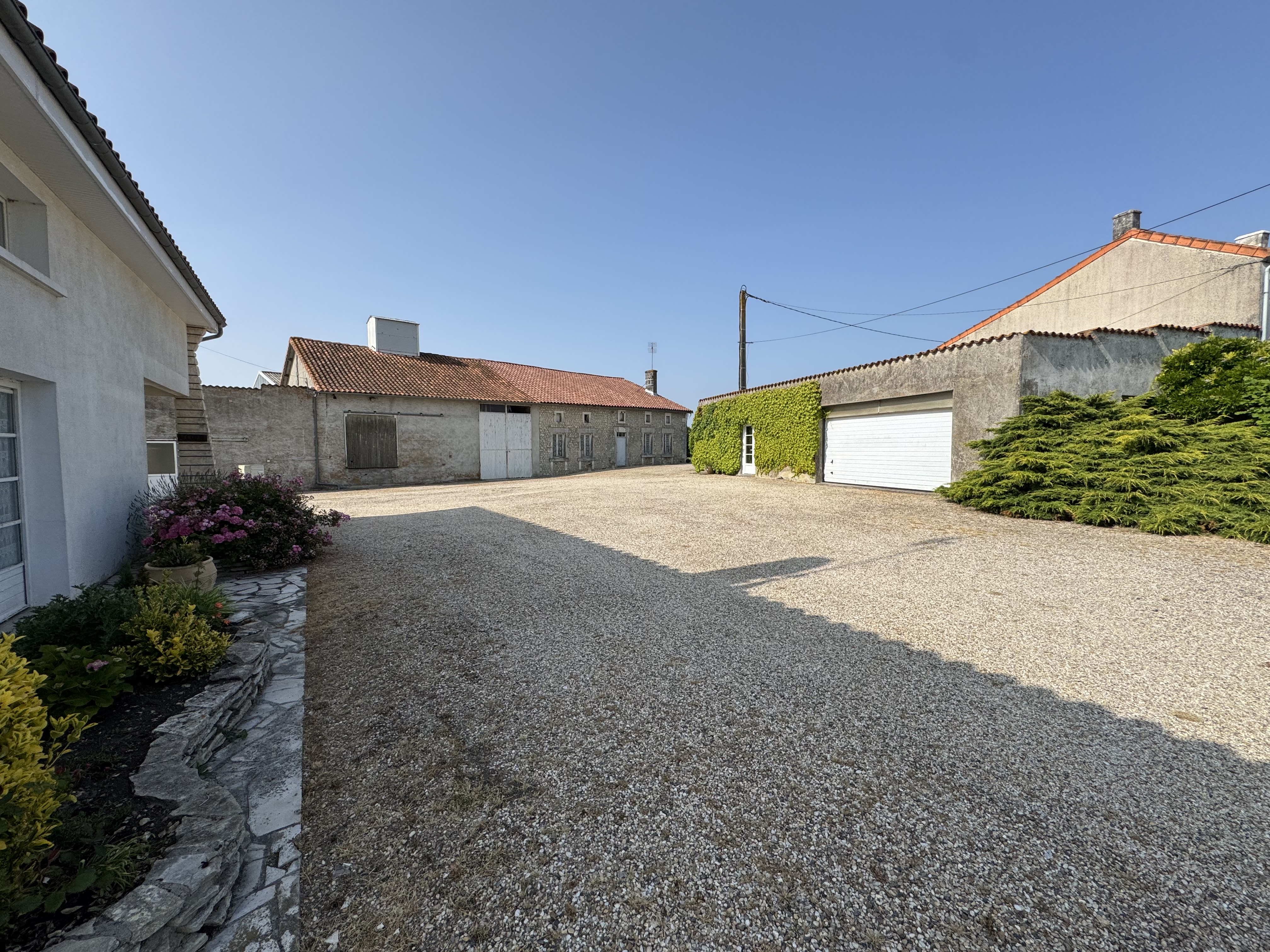 Photo 3 - Ensemble immobilier – Terrain 10000 m² – Hangar