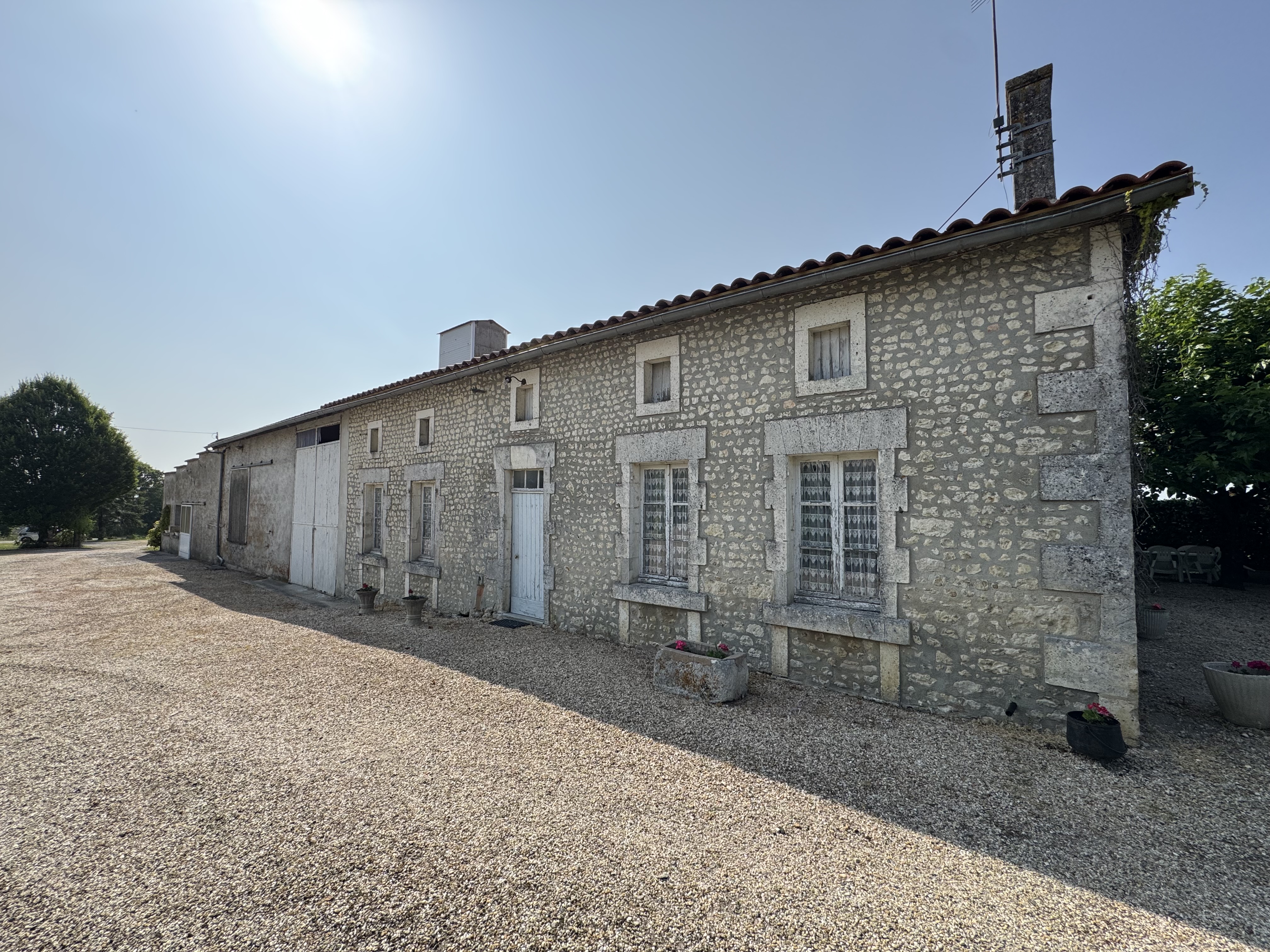 Photo 4 - Ensemble immobilier – Terrain 10000 m² – Hangar