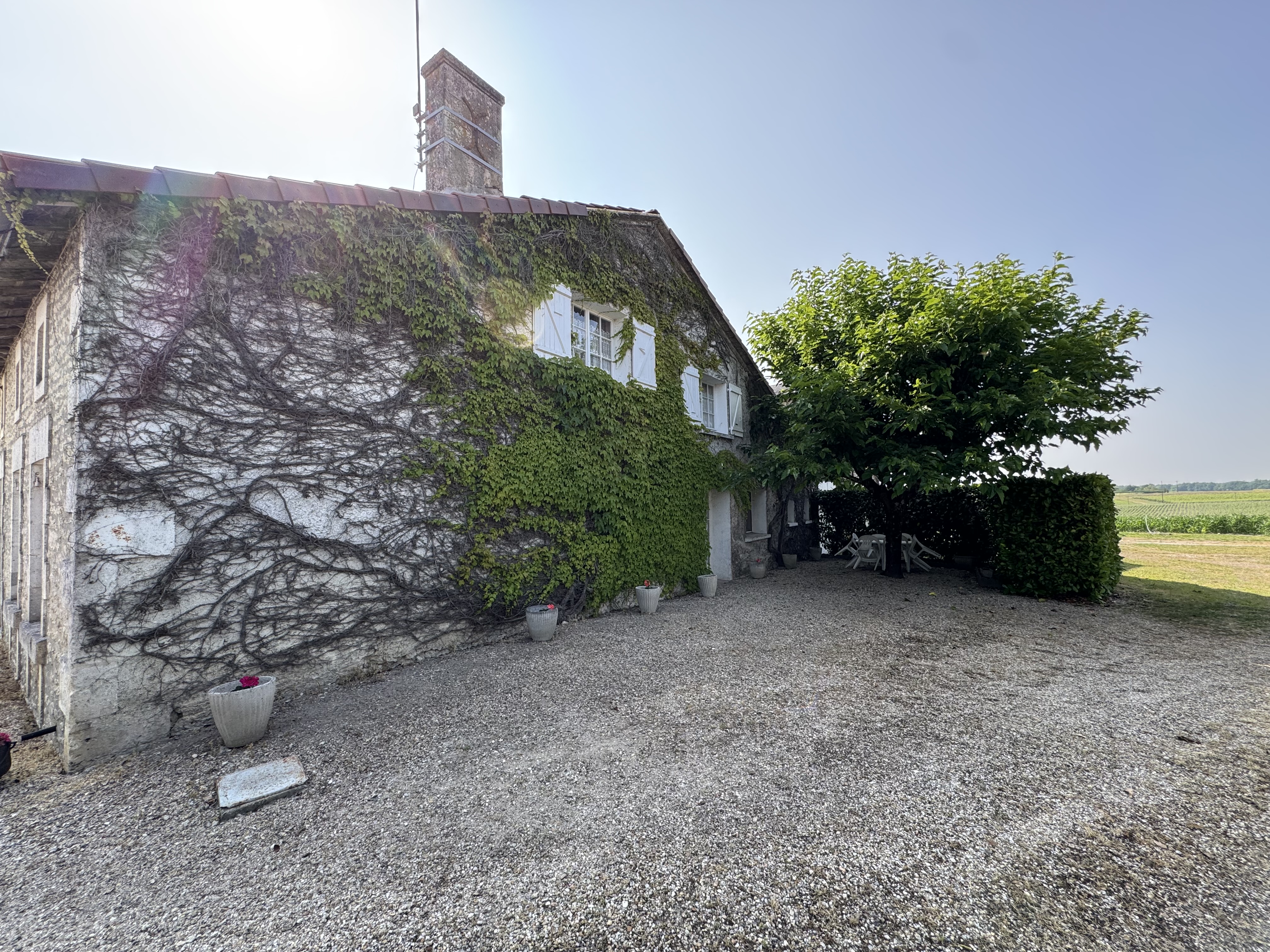Photo 5 - Ensemble immobilier – Terrain 10000 m² – Hangar