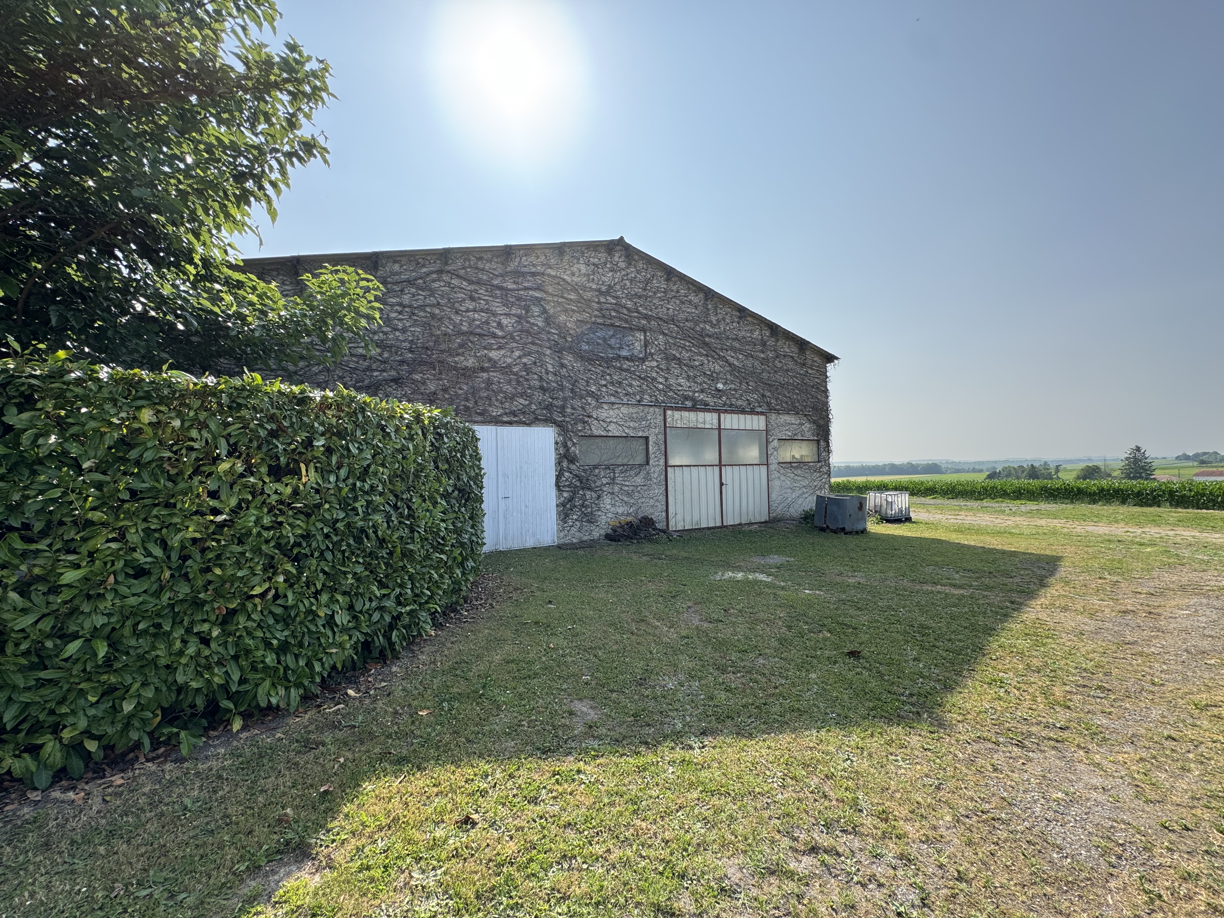 Photo 20 - Ensemble immobilier – Terrain 10000 m² – Hangar
