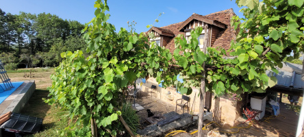 Photo 4 - Ensemble immobilier comprenant 2 maisons, piscine et terrain de plus de 9000m2