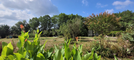 Photo 57 - Ensemble immobilier comprenant 2 maisons, piscine et terrain de plus de 9000m2