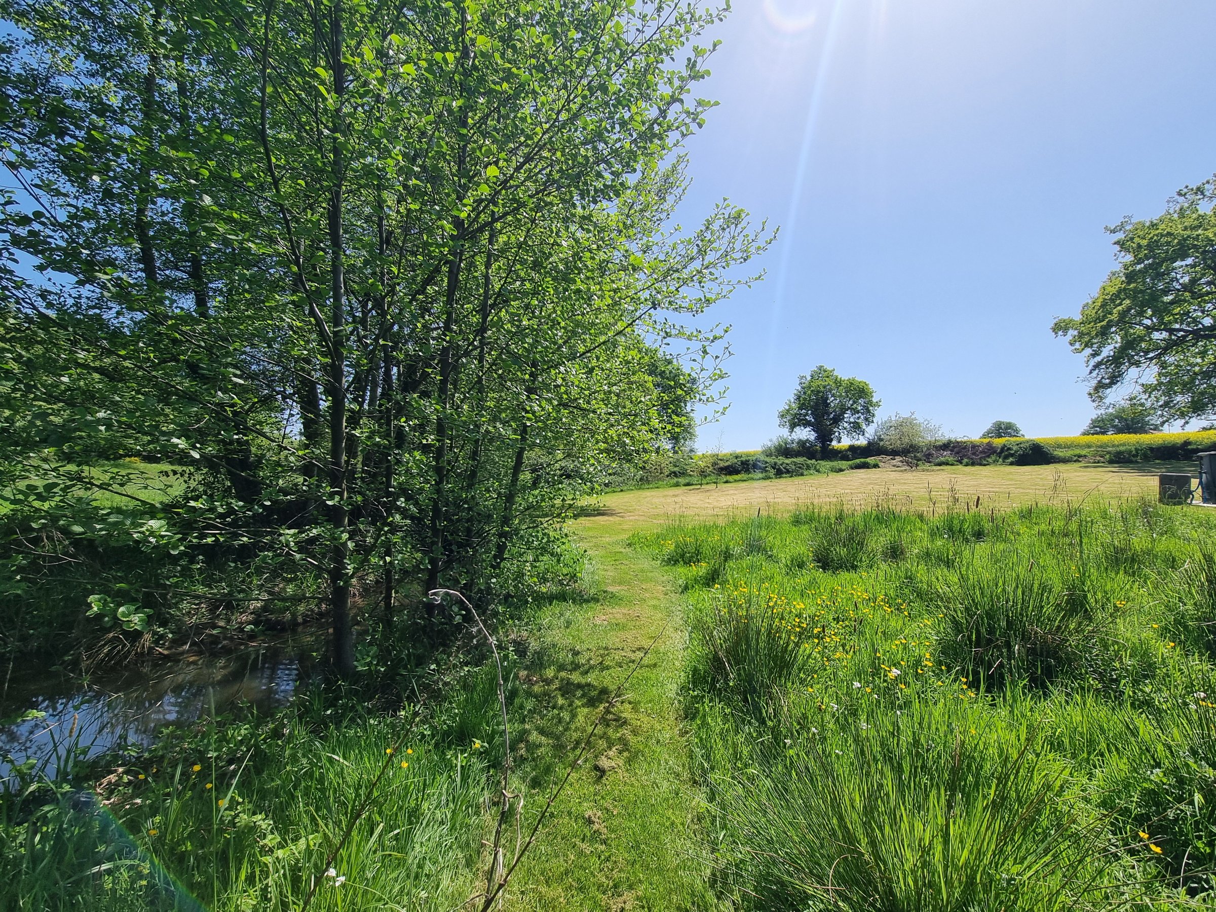 Photo 17 - Grange réhabilitée sur 9 518 m² de terrain traversé par un ruisseau !