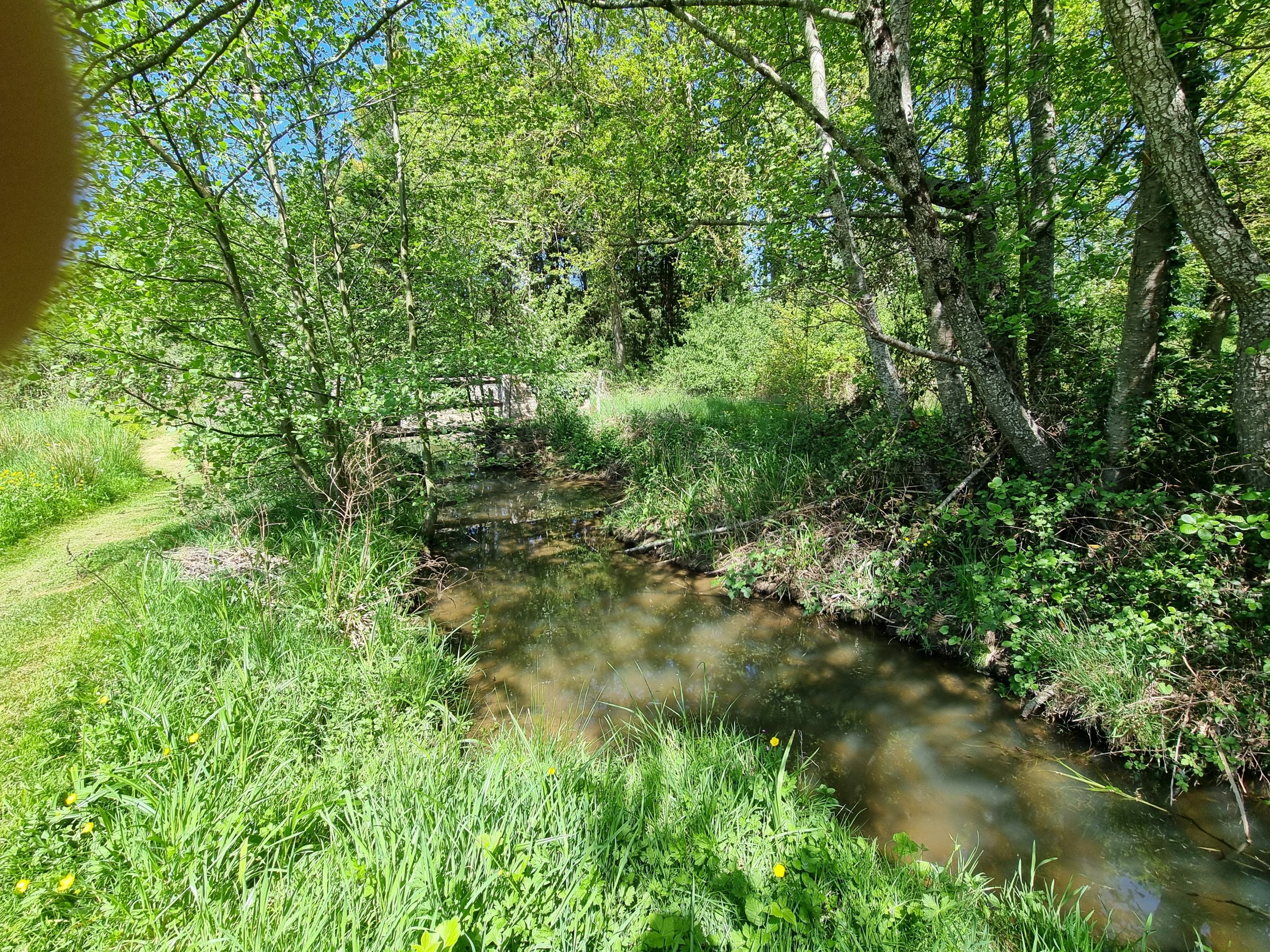 Photo 15 - Grange réhabilitée sur 9 518 m² de terrain traversé par un ruisseau !