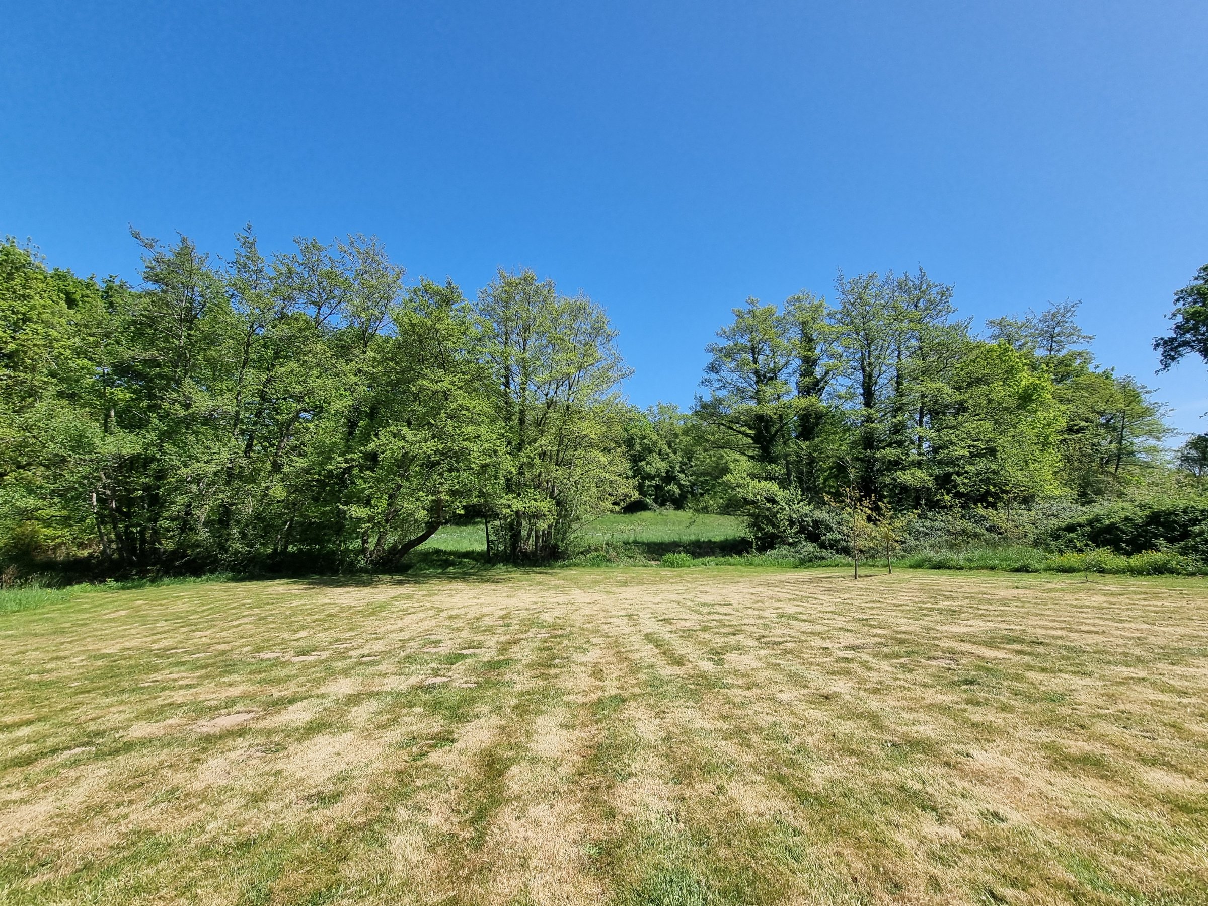 Photo 16 - Grange réhabilitée sur 9 518 m² de terrain traversé par un ruisseau !