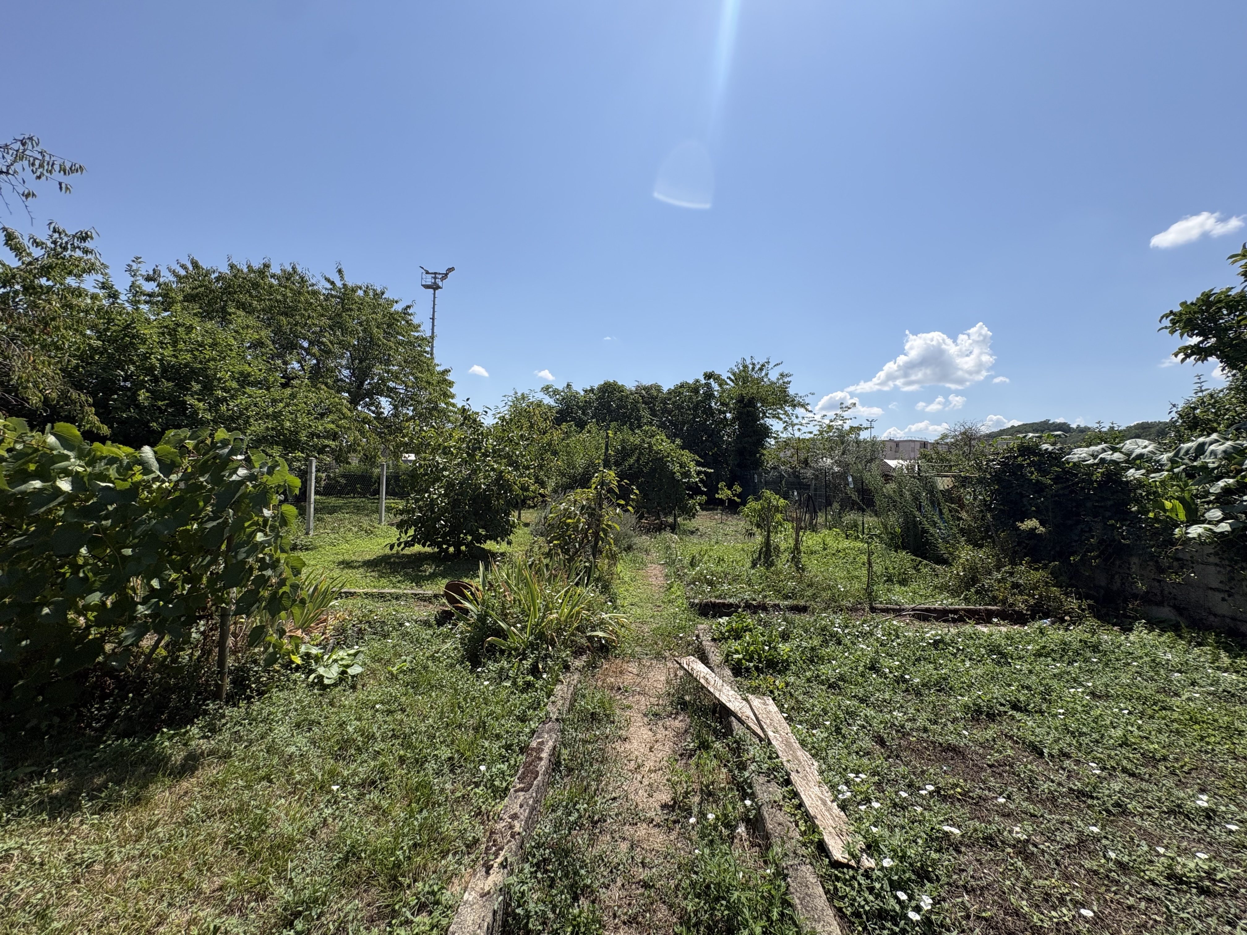 Photo 31 - Maison avec jardin