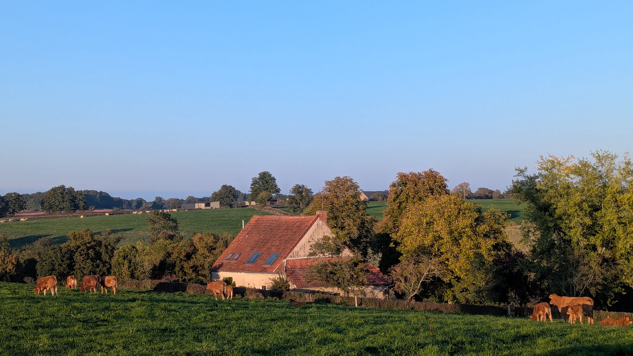 Photo 9 - Maison en pierres rénovée !