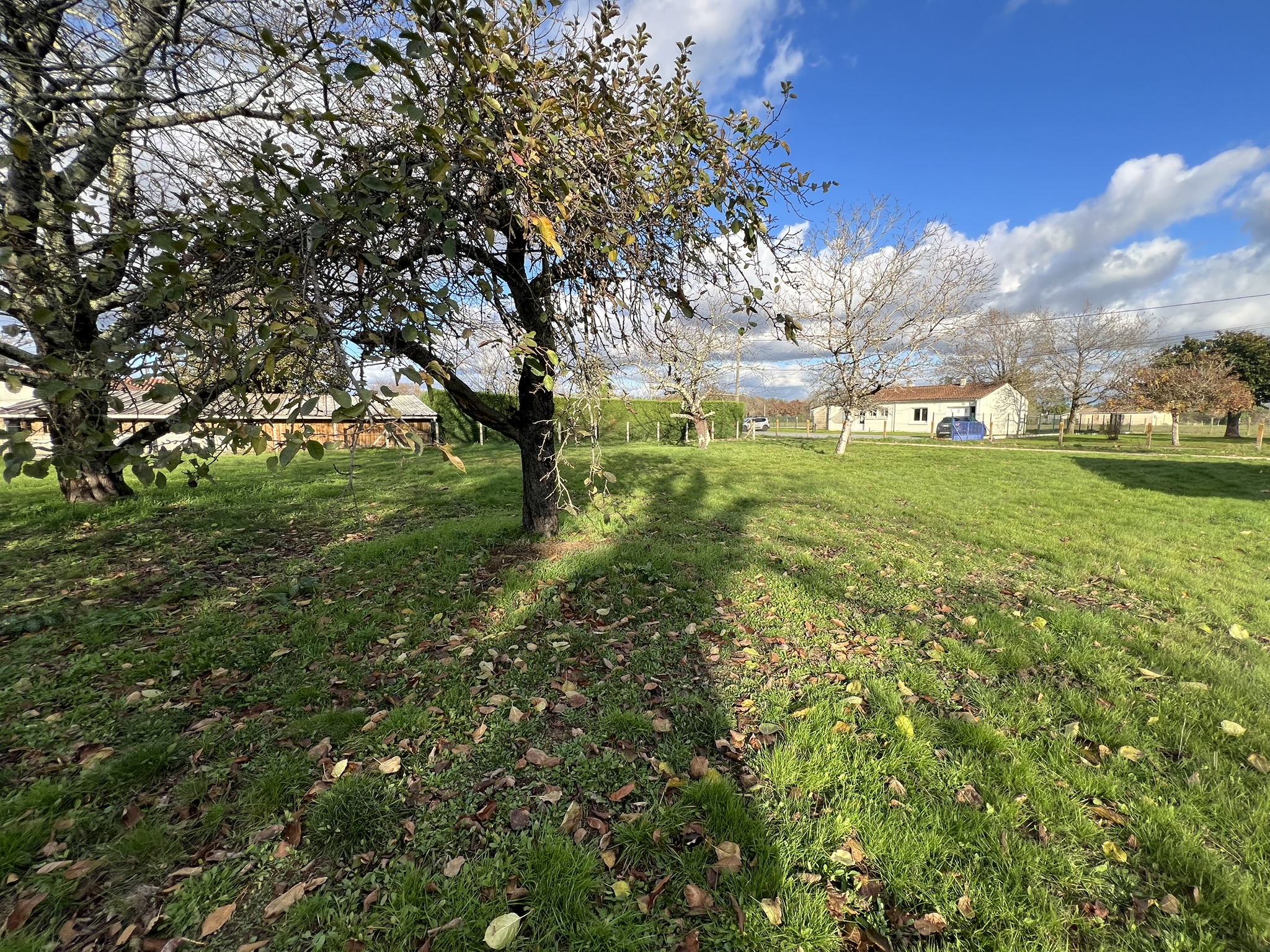 Maison avec terrain à bâtir - Photo 3