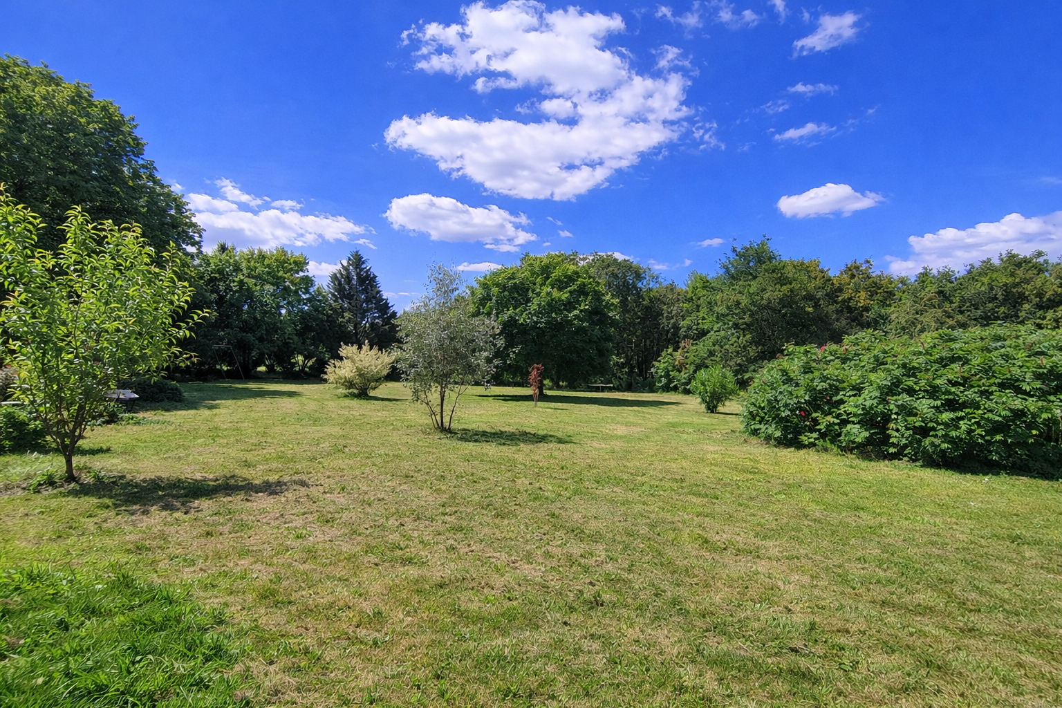 Photo 6 - Propriété sur plus de 3 hectares !