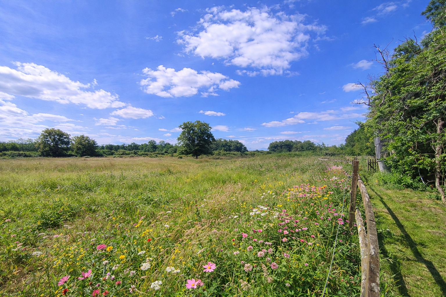 Photo 7 - Propriété sur plus de 3 hectares !