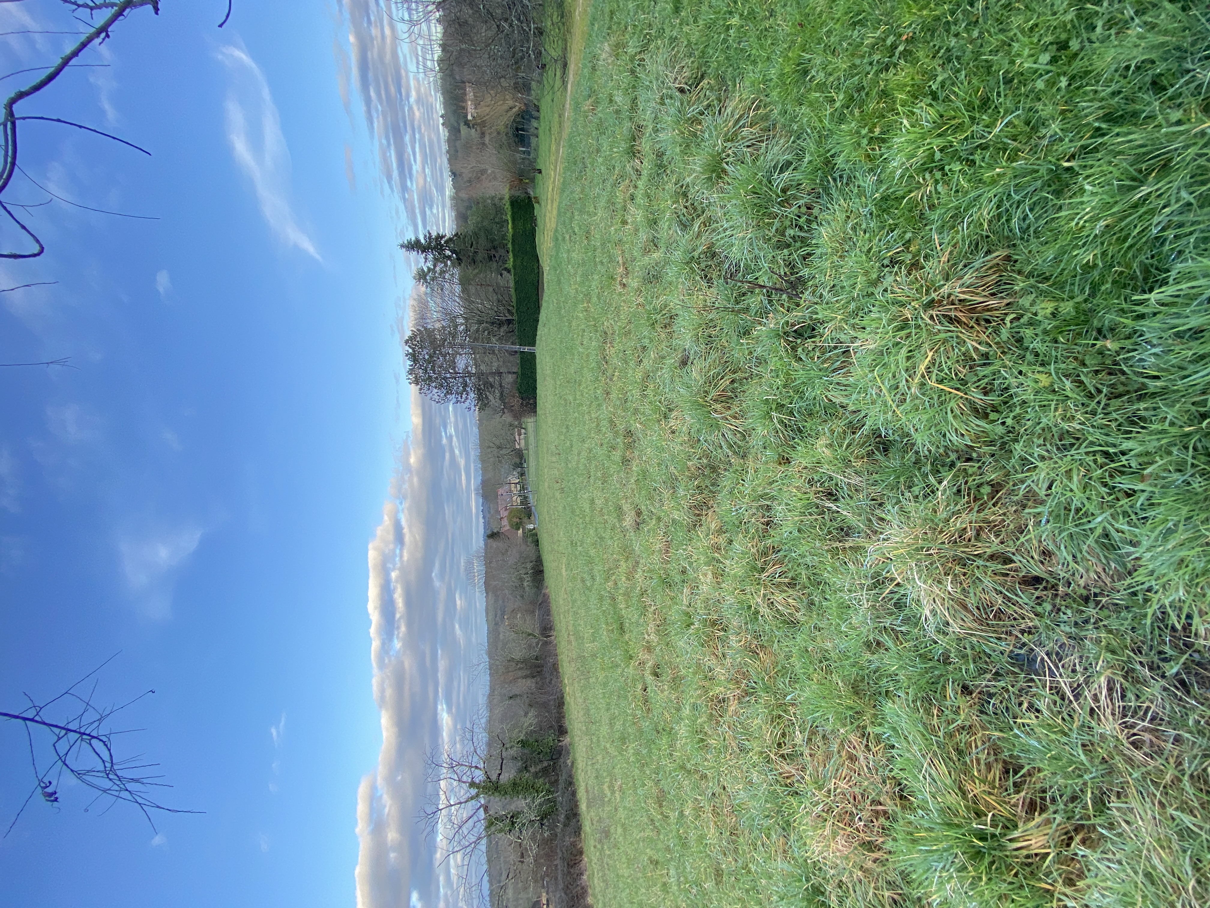 Photo 11 - Maison de campagne