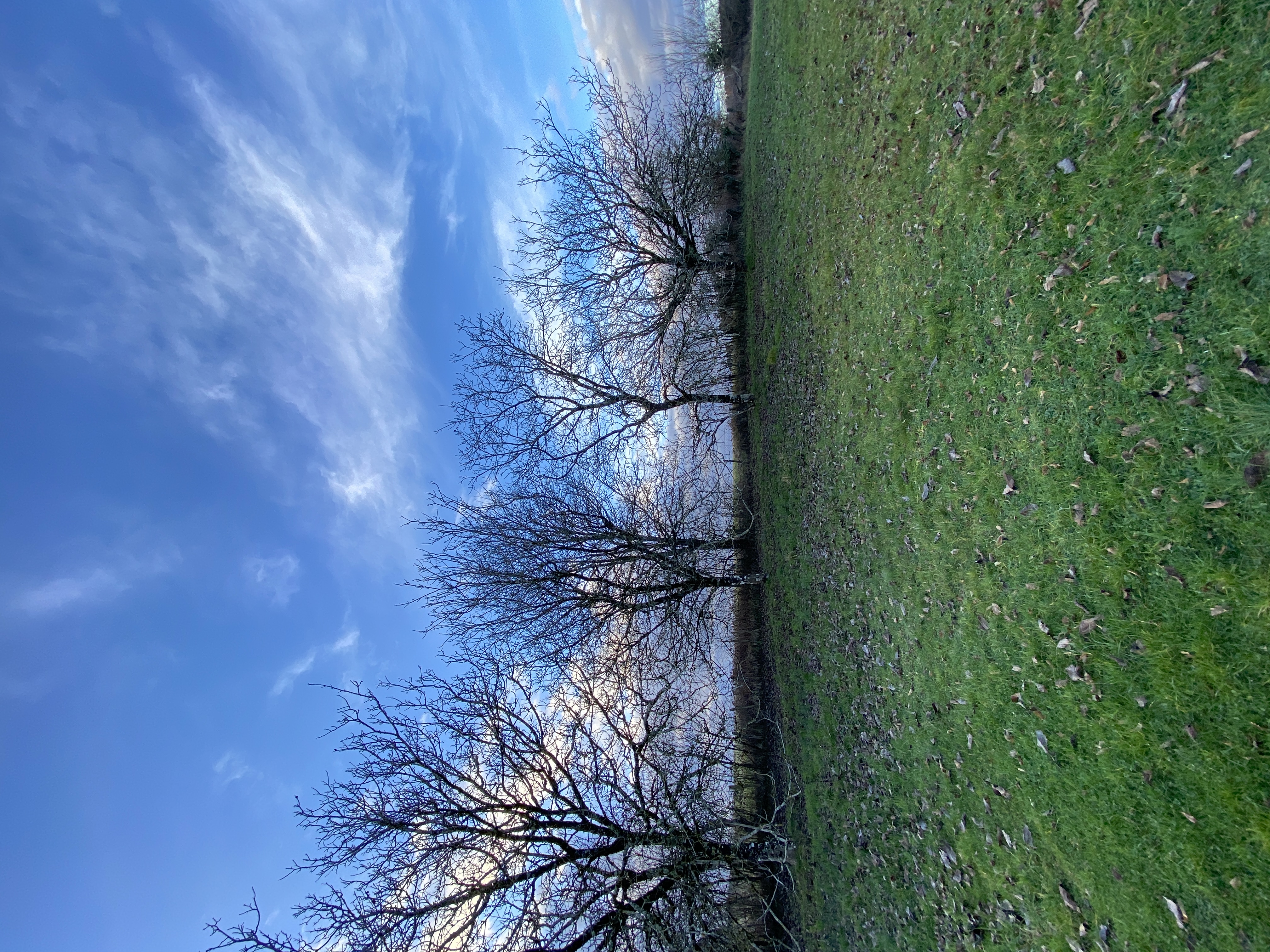 Photo 12 - Maison de campagne