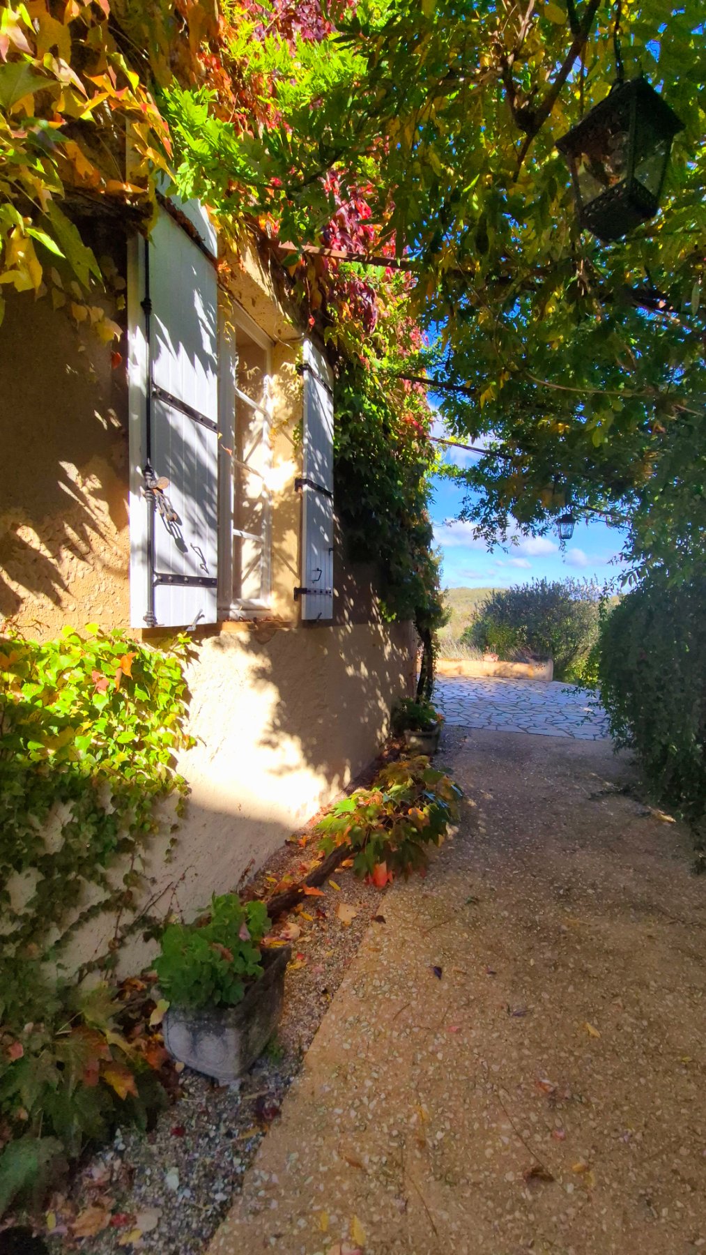Photo 4 - MAGNIFIQUE DOMAINE EN PLEIN COEUR DU PERIGORD NOIR AU CALME