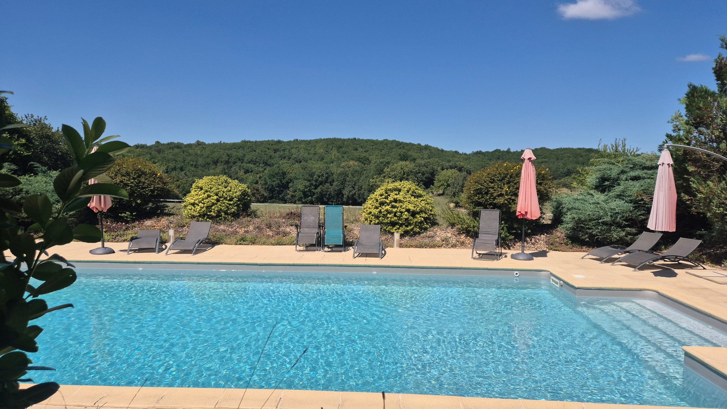 Photo 6 - MAGNIFIQUE DOMAINE EN PLEIN COEUR DU PERIGORD NOIR AU CALME