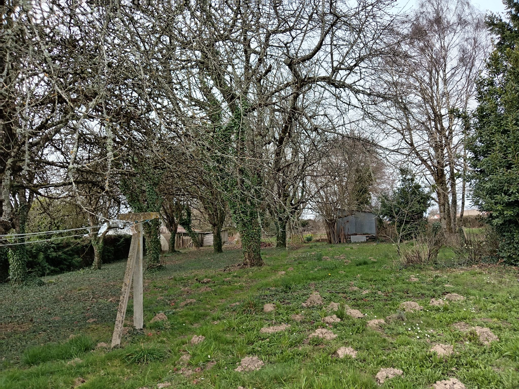 Photo 3 - Pavillon sur sous-sol total