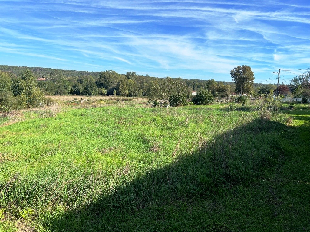 Photo 6 - Maison en pierre avec très beau jardin
