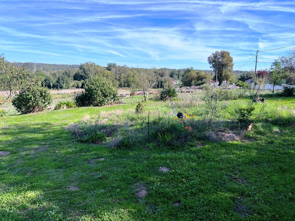 Photo 5 - Maison en pierre avec très beau jardin