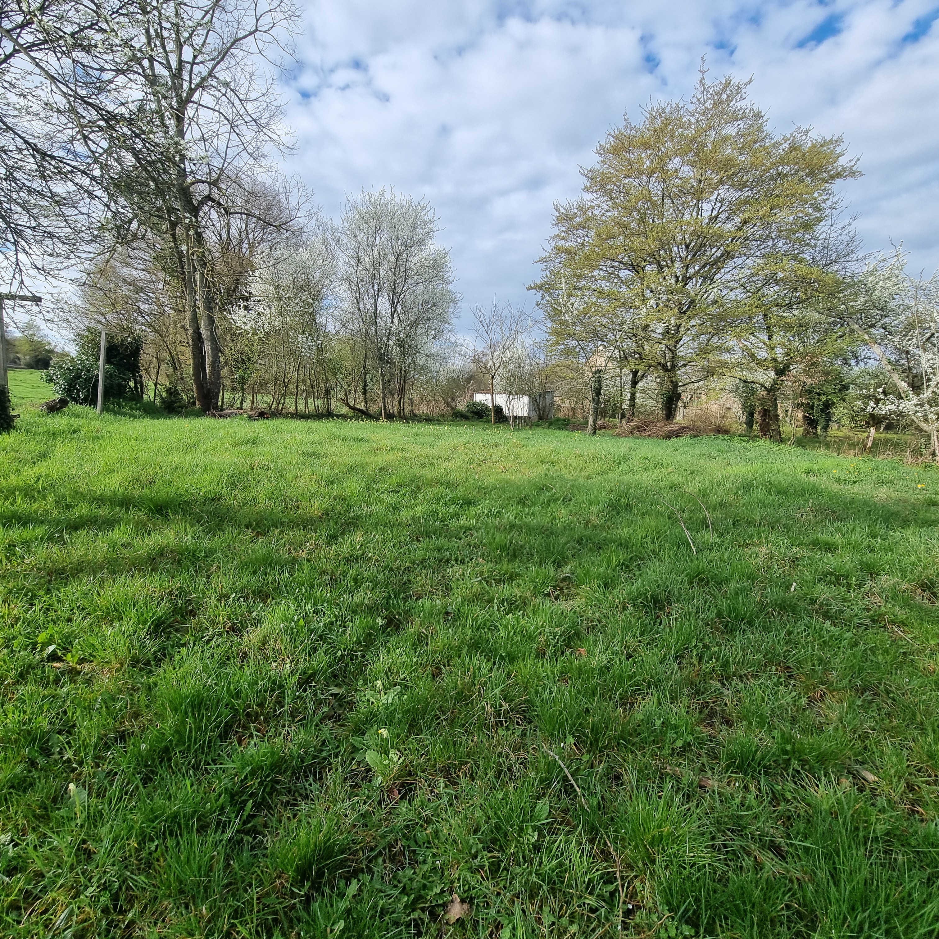 Photo 4 - Maison de campagne avec belle grange à porteau !