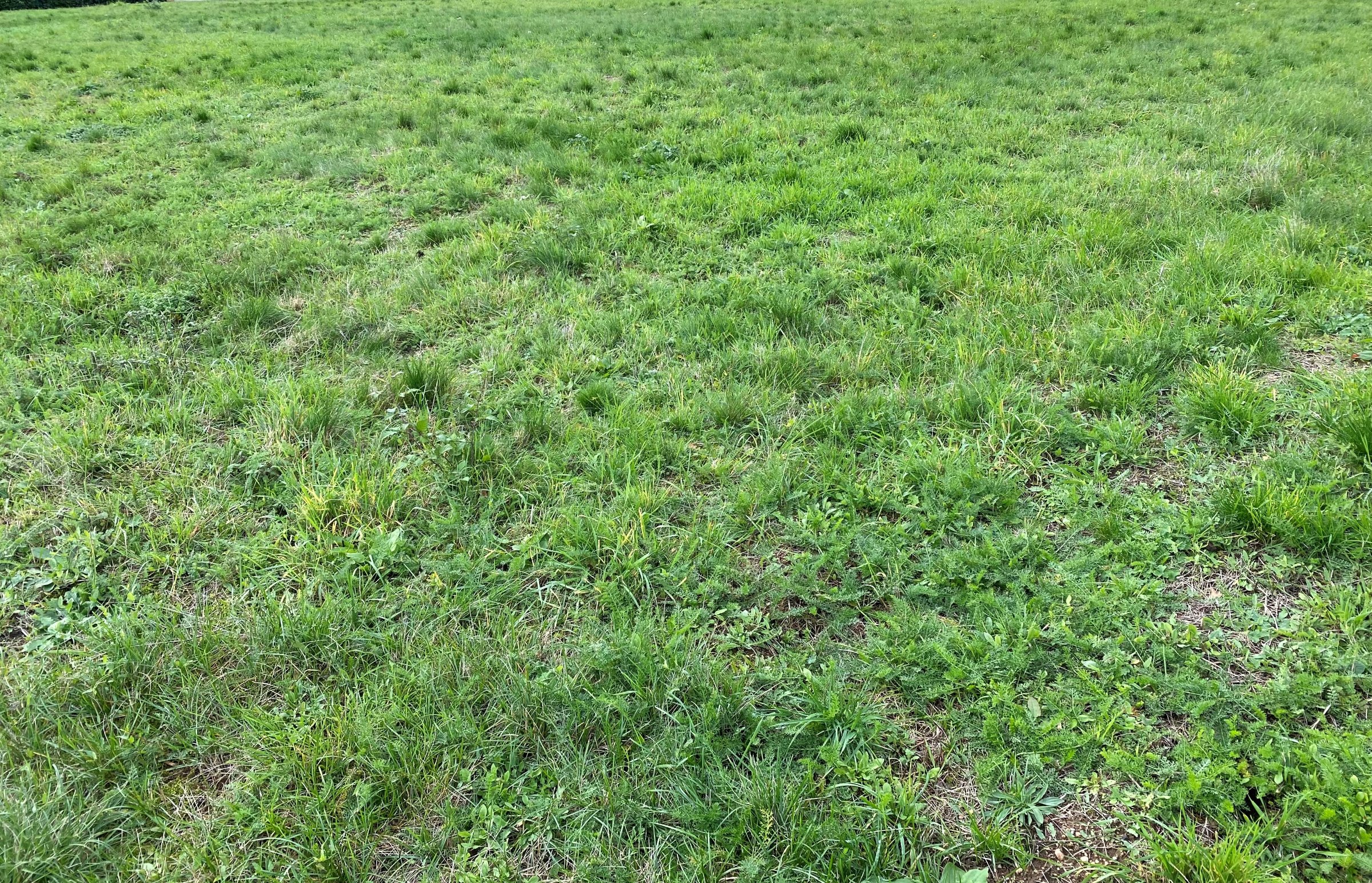 Photo 2 - GORRE – TERRAIN VIABILISE 1100 m2 – 40 000 €