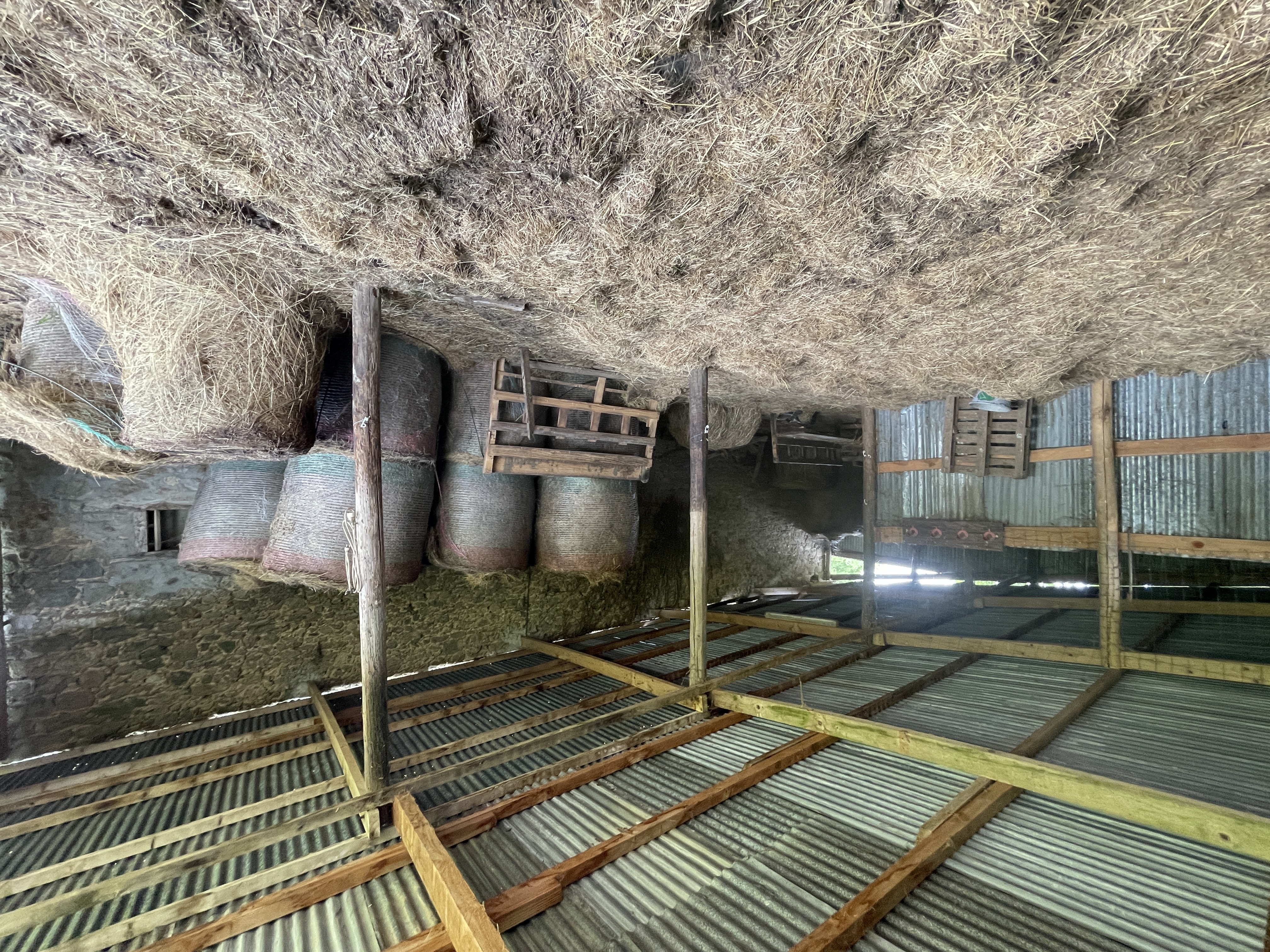 Photo 19 - Corps de ferme sur 3 hectares – Maison, granges et hangar au cœur de la nature