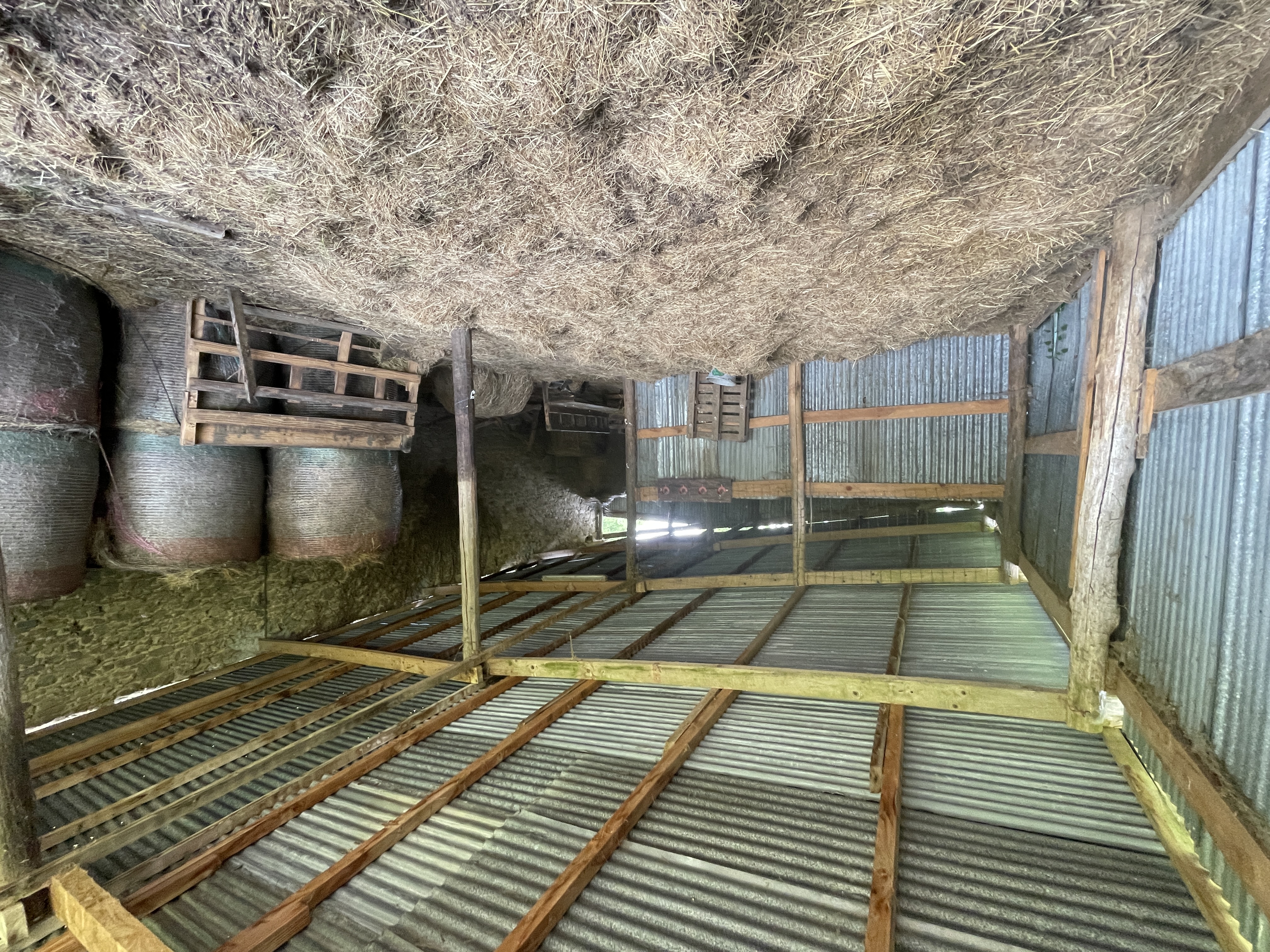 Photo 20 - Corps de ferme sur 3 hectares – Maison, granges et hangar au cœur de la nature