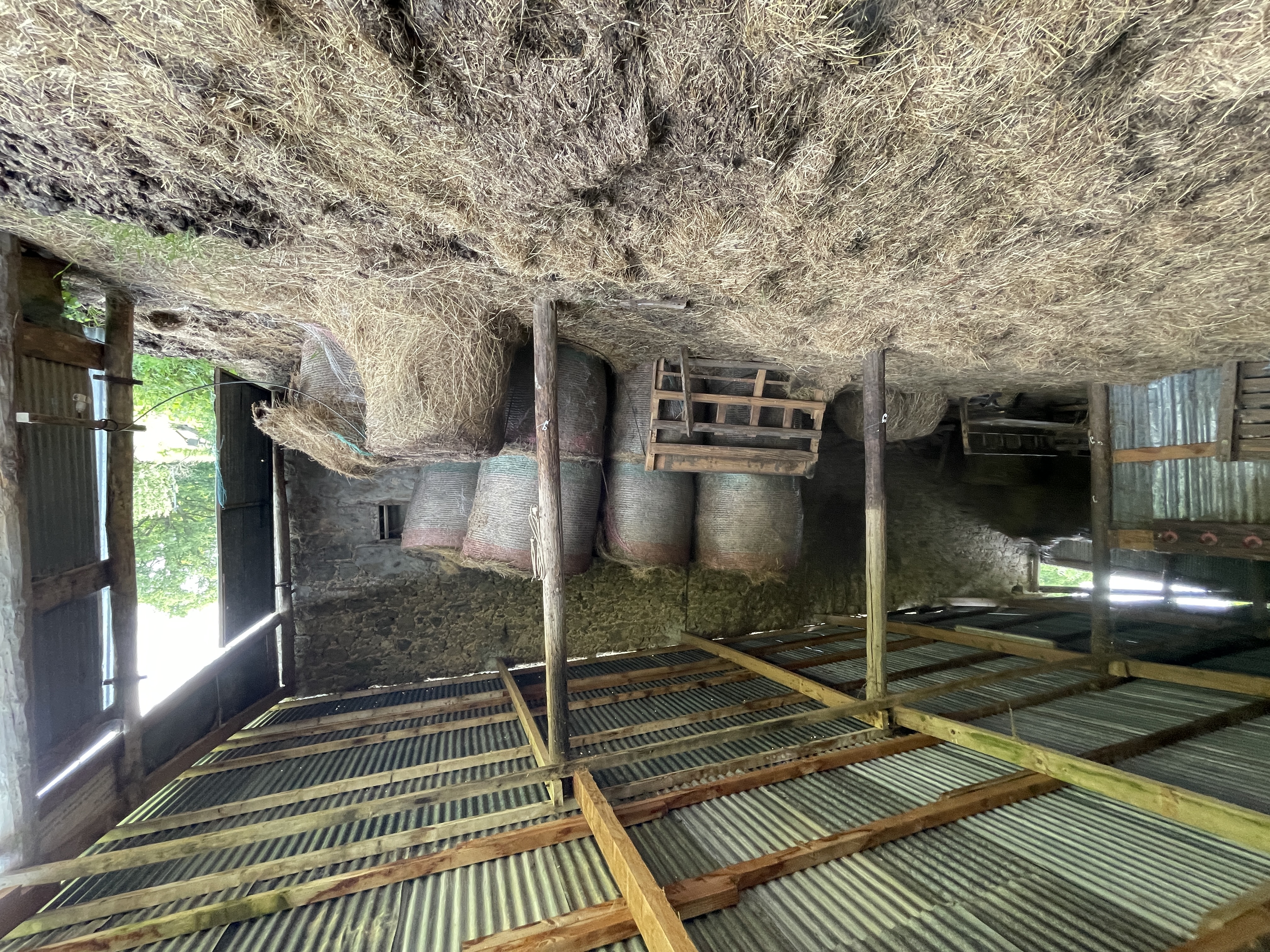 Photo 21 - Corps de ferme sur 3 hectares – Maison, granges et hangar au cœur de la nature