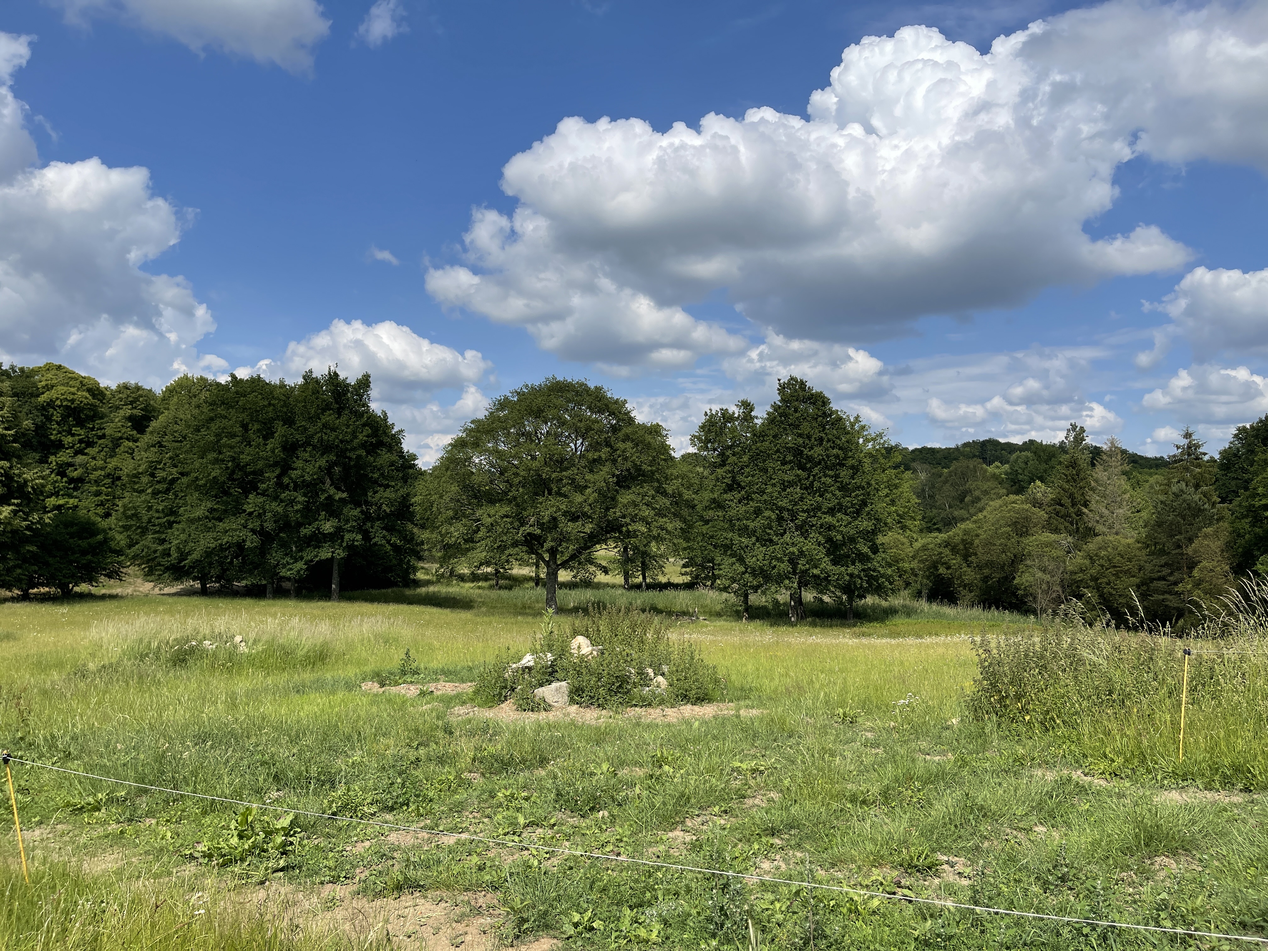 Photo 24 - Corps de ferme sur 3 hectares – Maison, granges et hangar au cœur de la nature