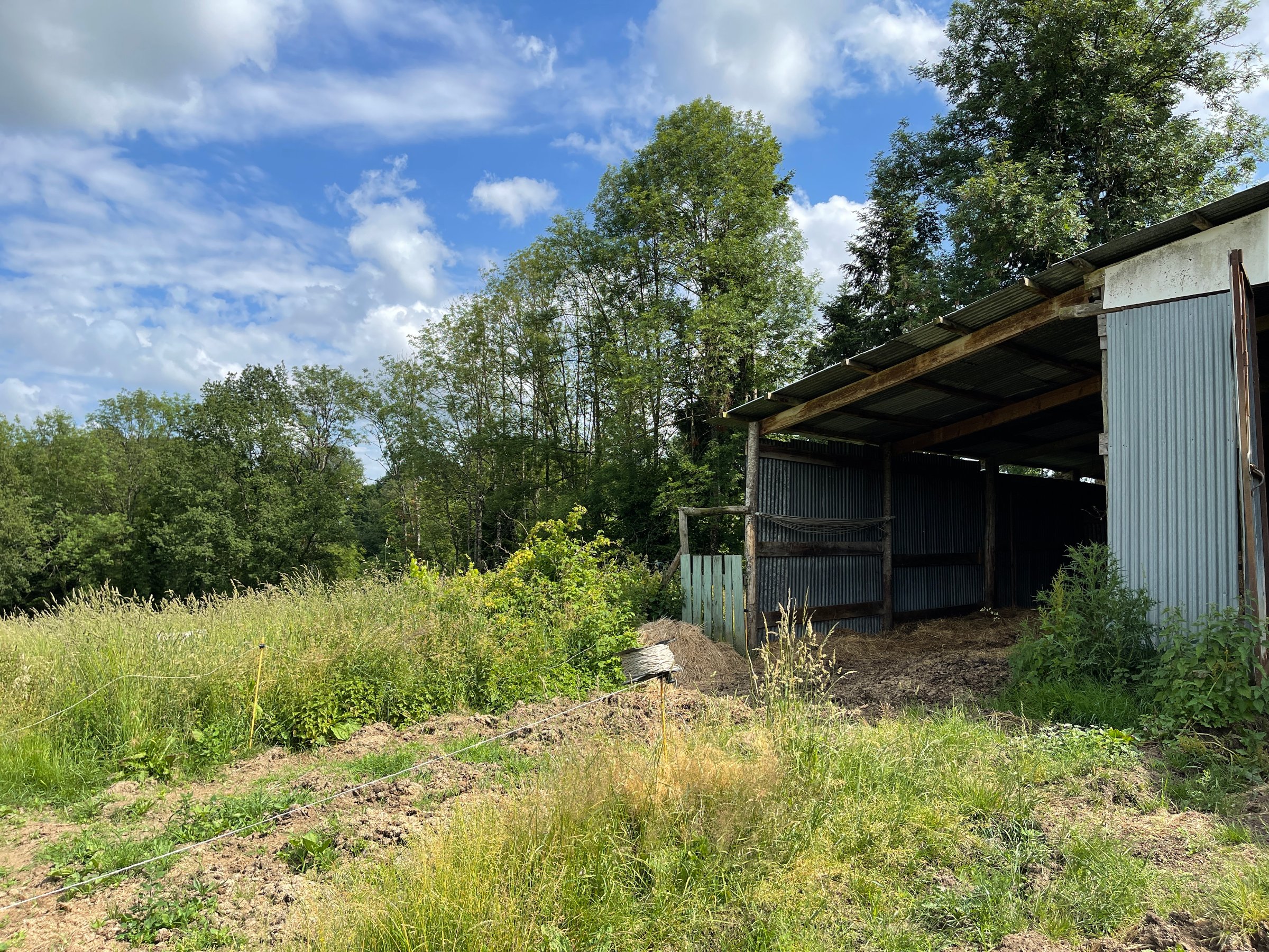 Photo 26 - Corps de ferme sur 3 hectares – Maison, granges et hangar au cœur de la nature