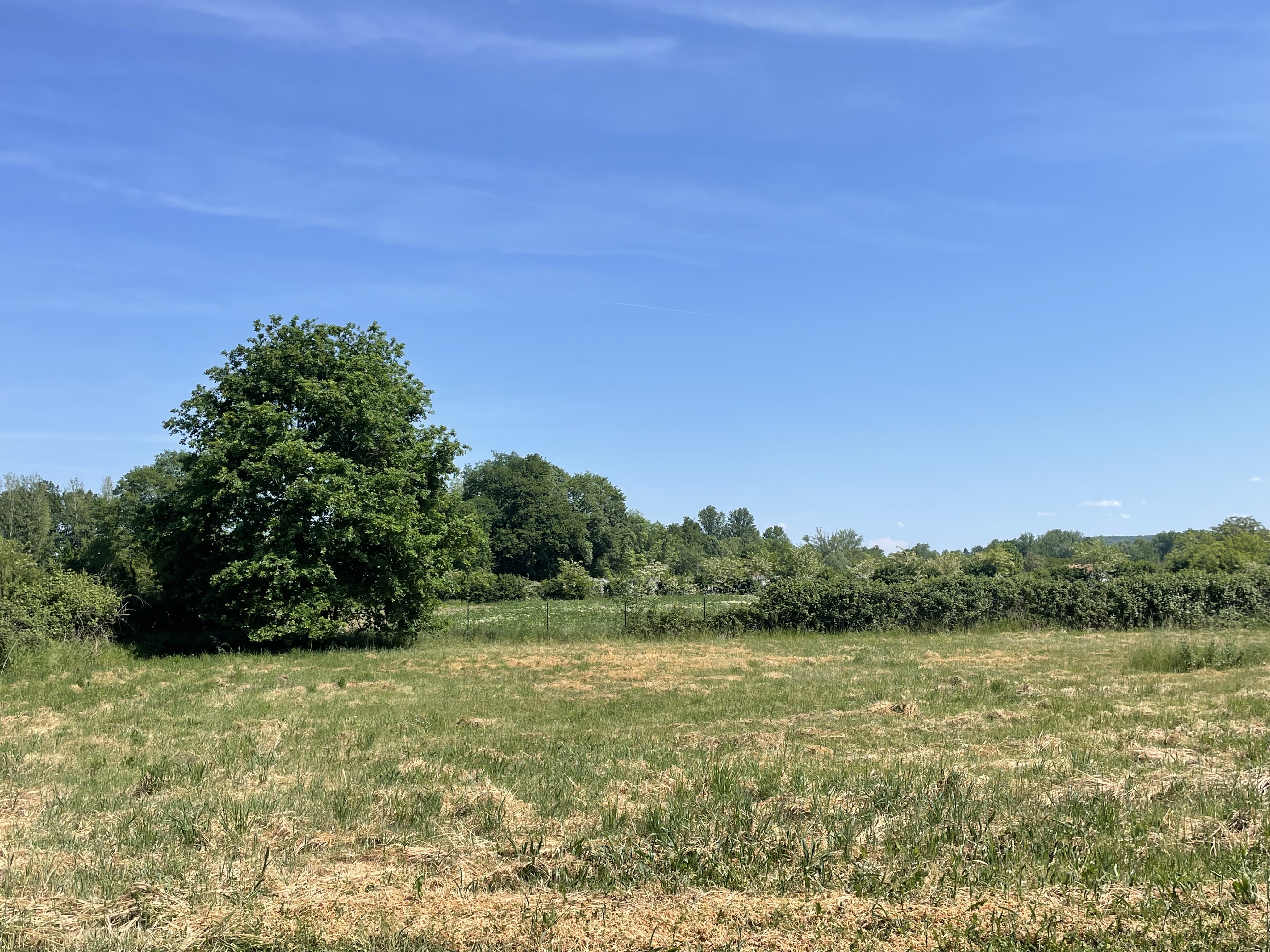 Photo 3 - Maison avec jardin