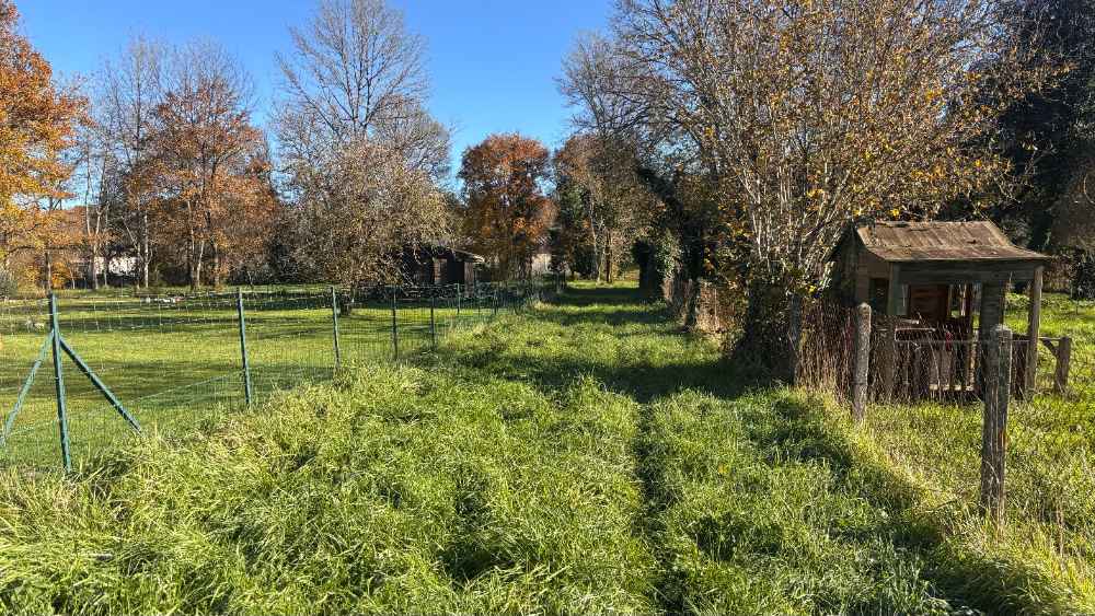 Photo 6 - Terrain constructible de 2 215m² à Chancelade
