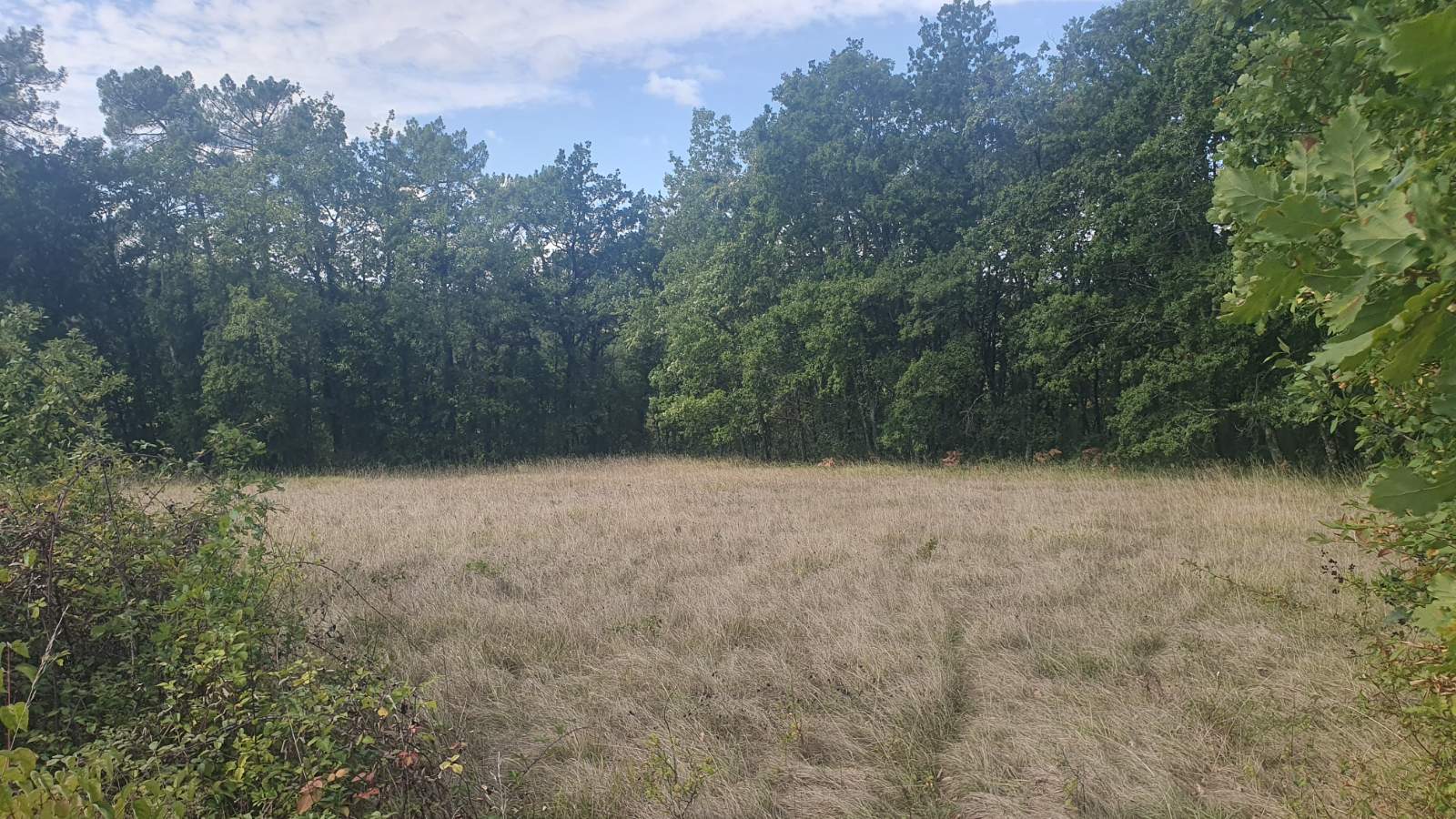 Photo 2 - MAGNIFIQUE TERRAIN CONSTRUCTIBLE AVEC PARTIE BOISÉE, NON CONSTRUCTIBLE AU CALME IDÉALEMENT PLACÉ NON LOIN DE SAINT-ANDRÉ-D&rsquo;ALLAS (24200)