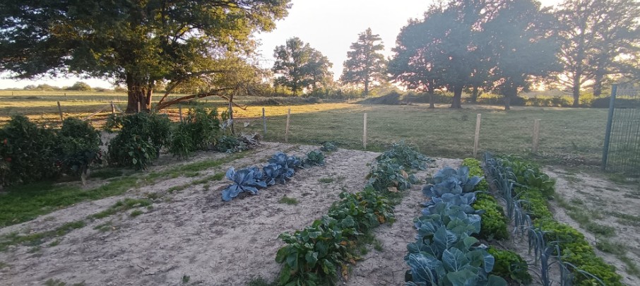 Photo 7 - Maison en pleine campagne !