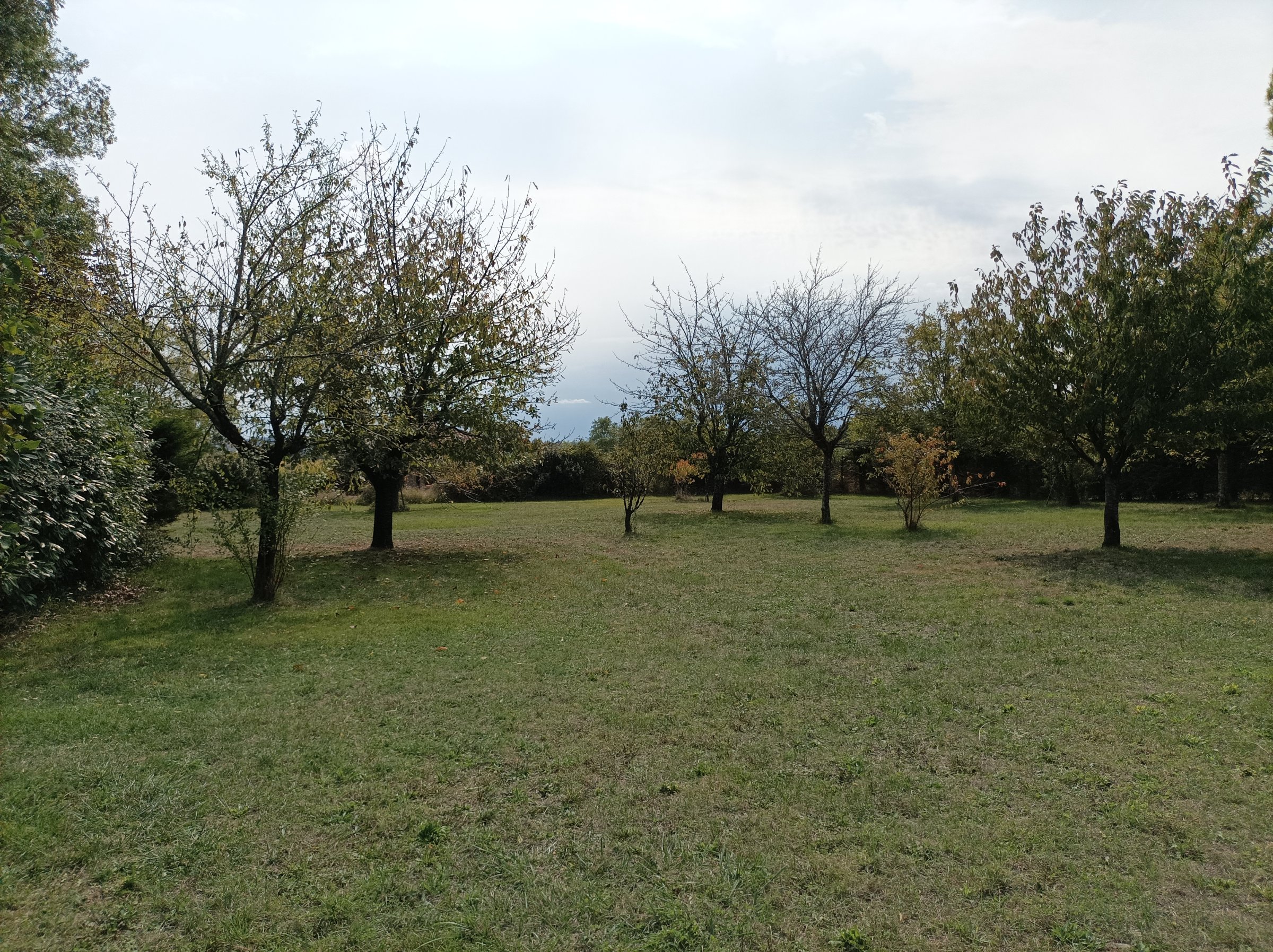 Photo 12 - Maison ville, 4100 m² terrain