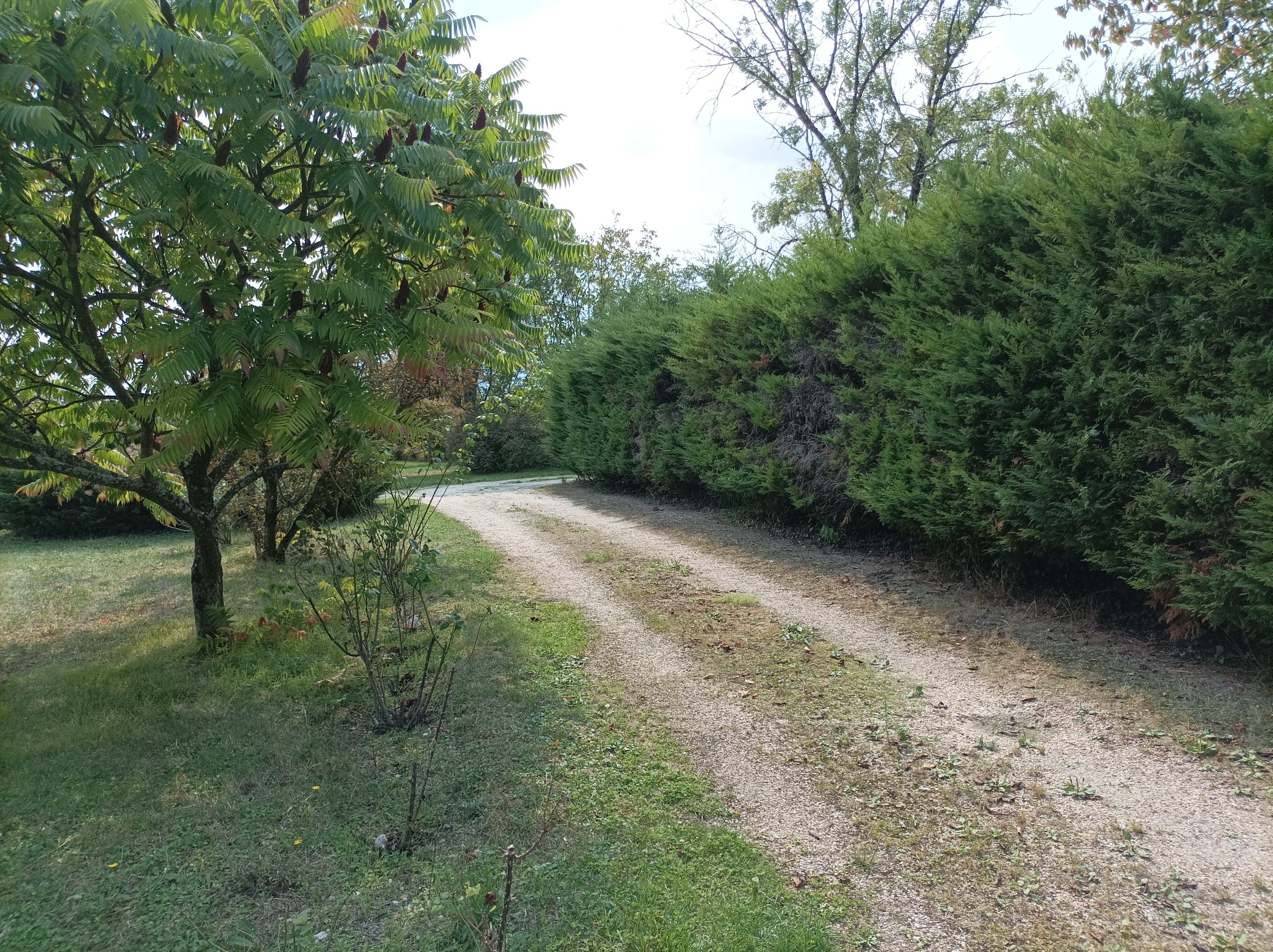 Photo 13 - Maison ville, 4100 m² terrain