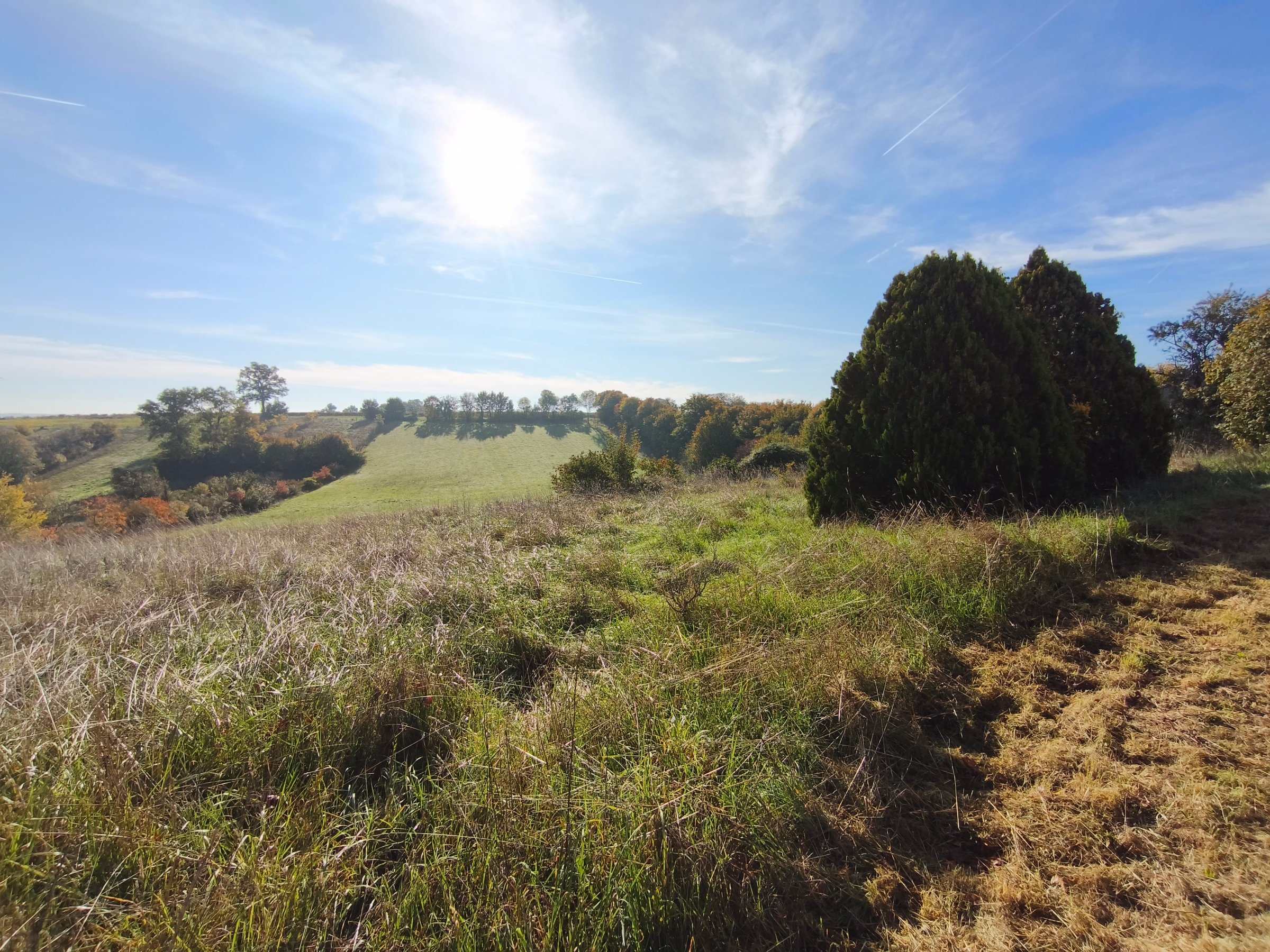 Maison avec grange - Photo 3