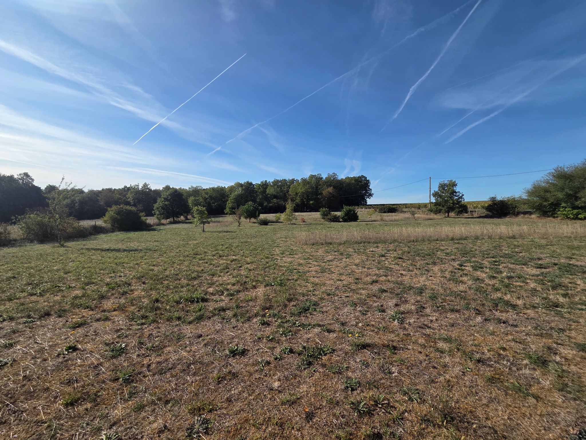Photo 26 - Maison contemporaine