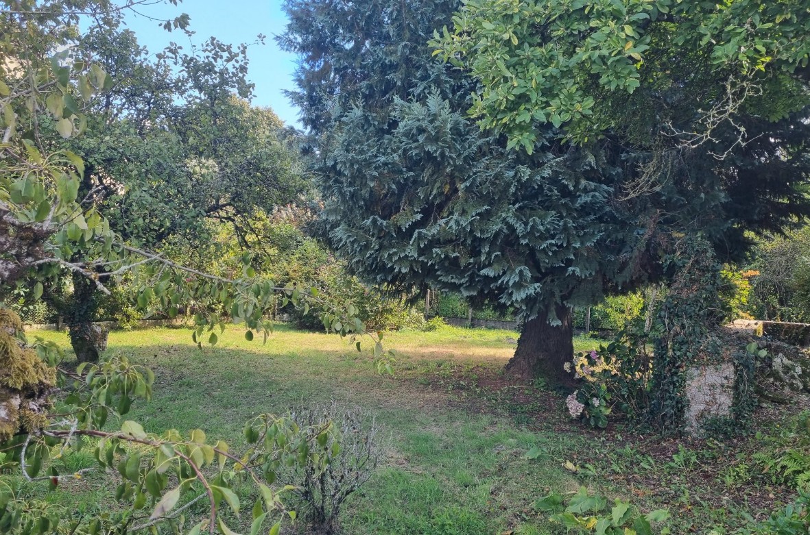Photo 21 - Maison à rénover avec jardin !