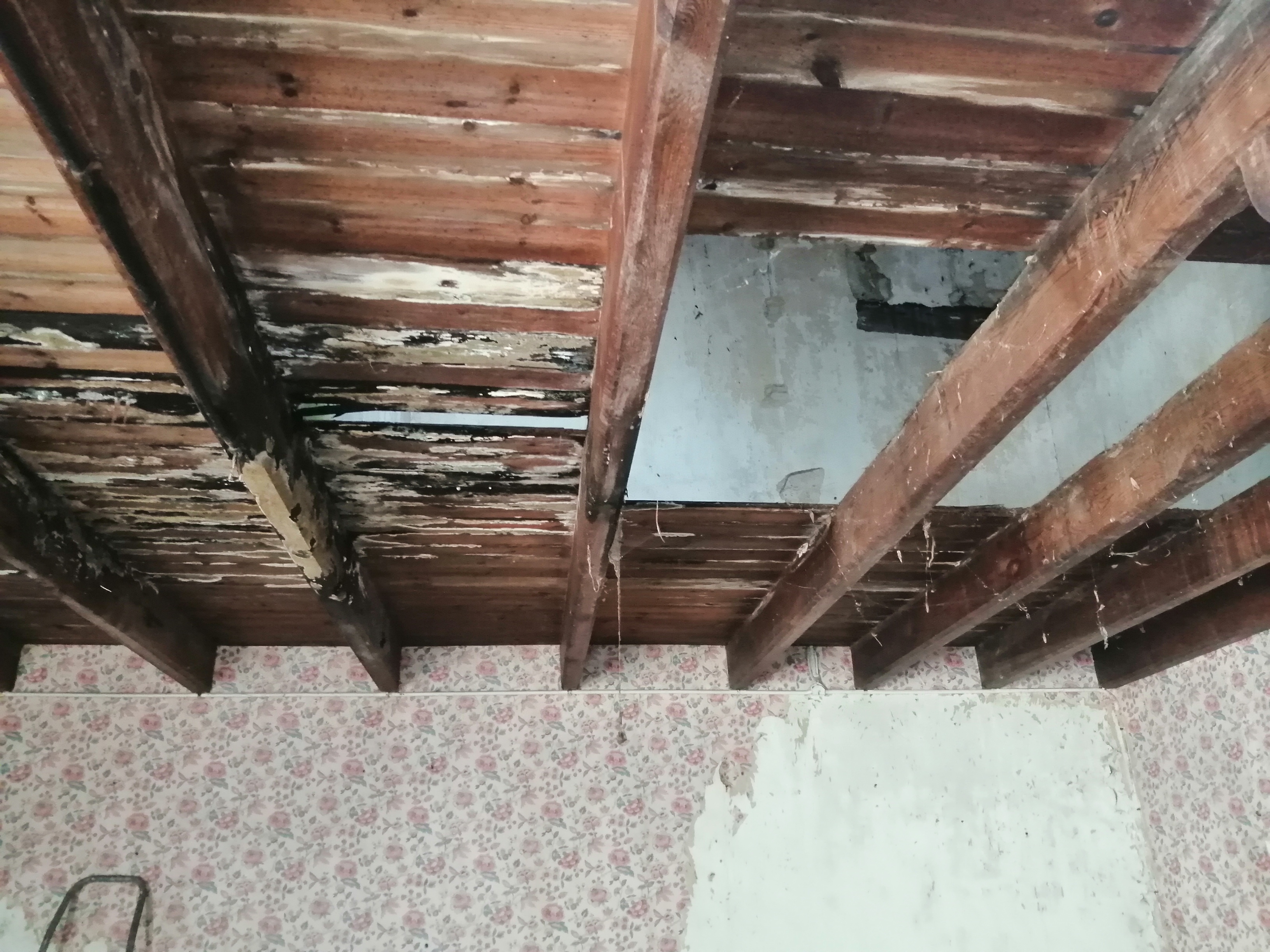 Maison 2 pièces et jardin - Photo 3