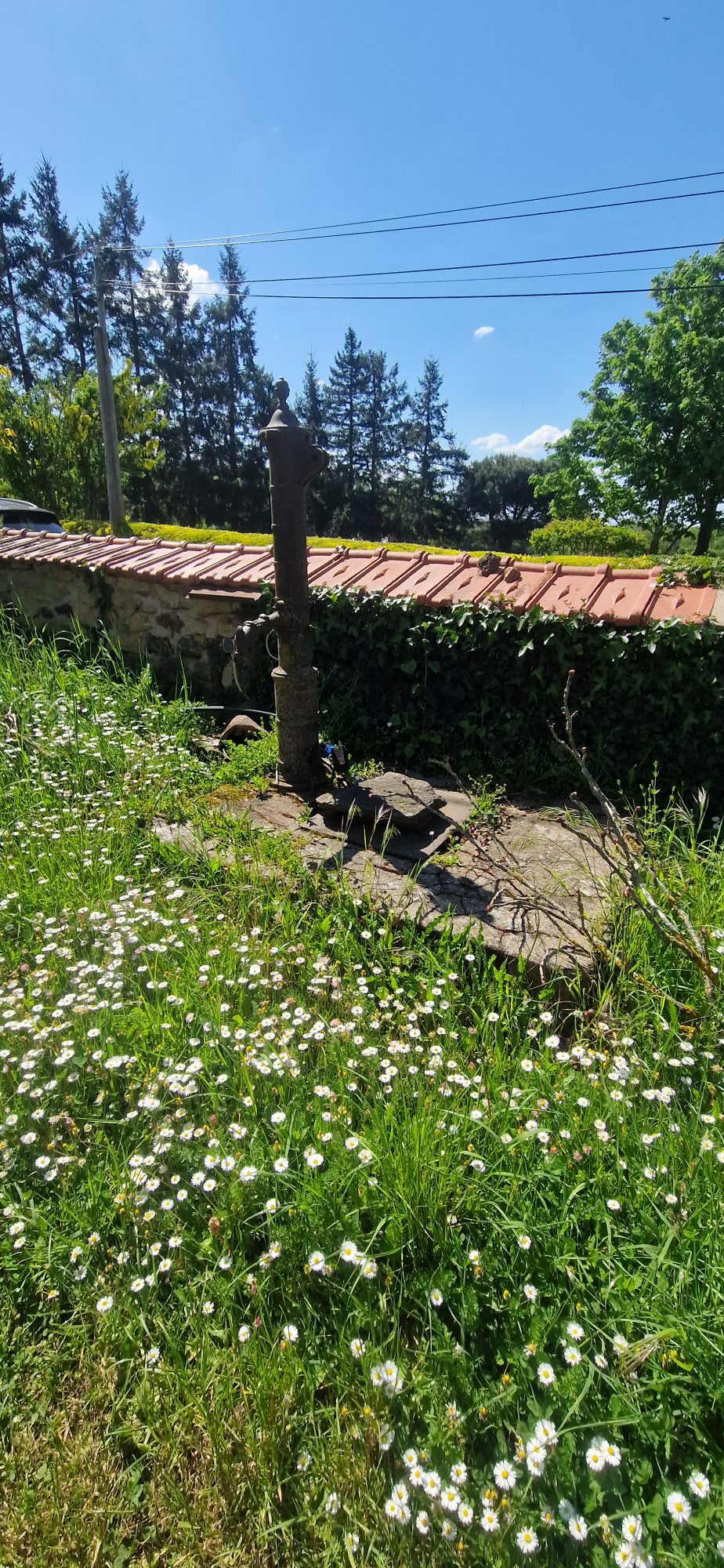 Photo 19 - Maison de Campagne