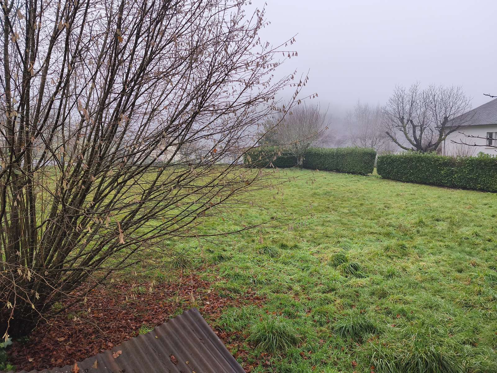 Photo 6 - À vendre : beau terrain constructible de 1200 m² à Espagnac (centre-bourg)