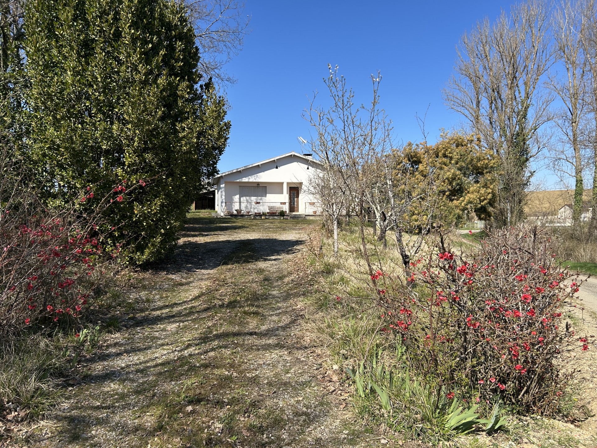 Maison avec dépendance sur grand terrain - Photo 2
