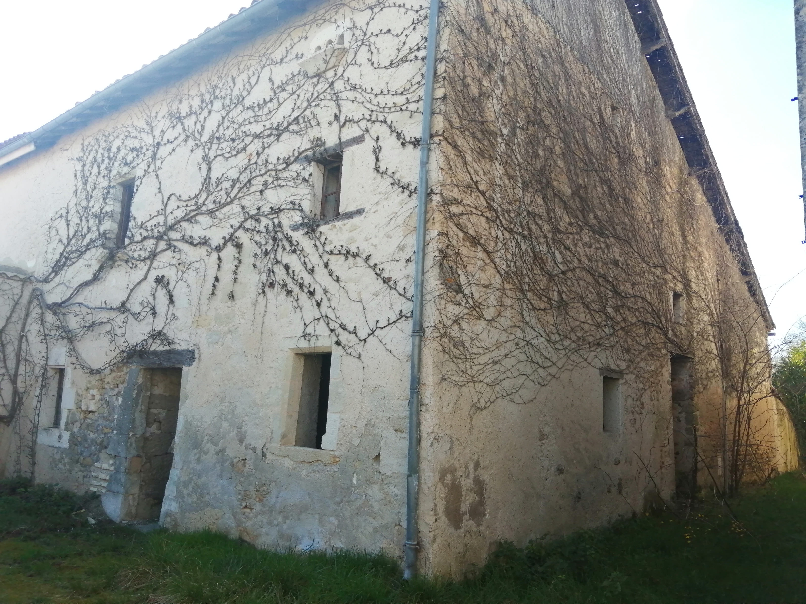 Photo 15 - Ensemble immobilier, 5 maisons et dépendances