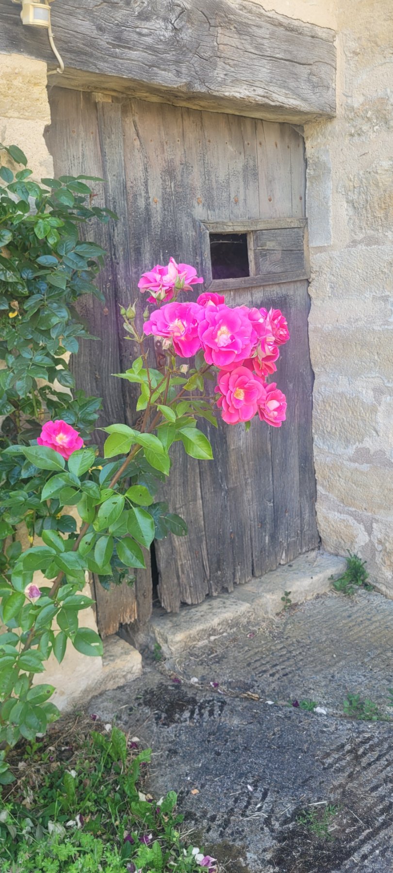 Photo 21 - Ensemble immobilier maison principale et dépendances