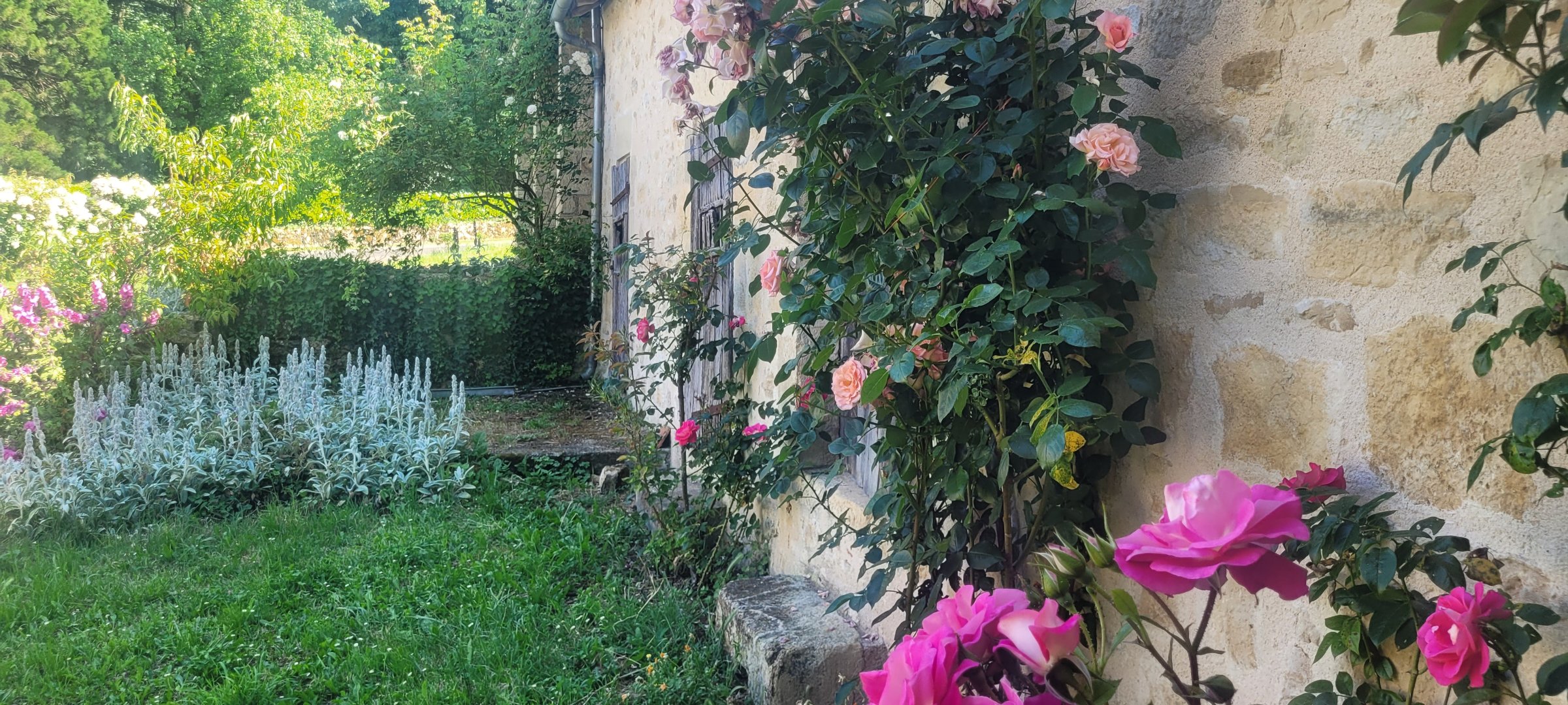 Photo 22 - Ensemble immobilier maison principale et dépendances